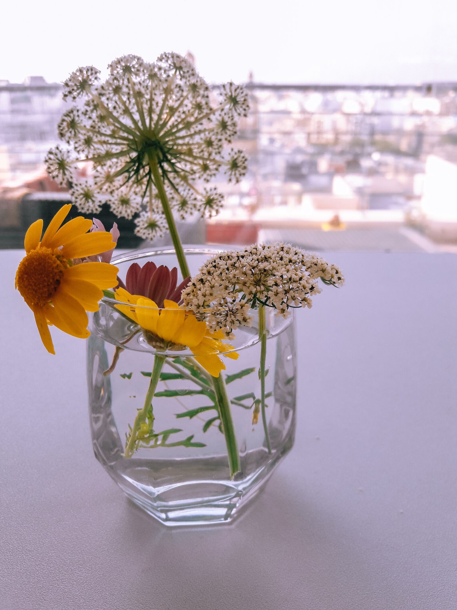 Samsung Galaxy A3(2016) sample photo. Flowers, window, morning photography