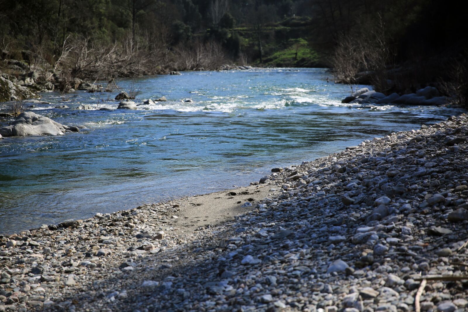 Canon EF 24-70mm F2.8L II USM sample photo. Court of water, river photography