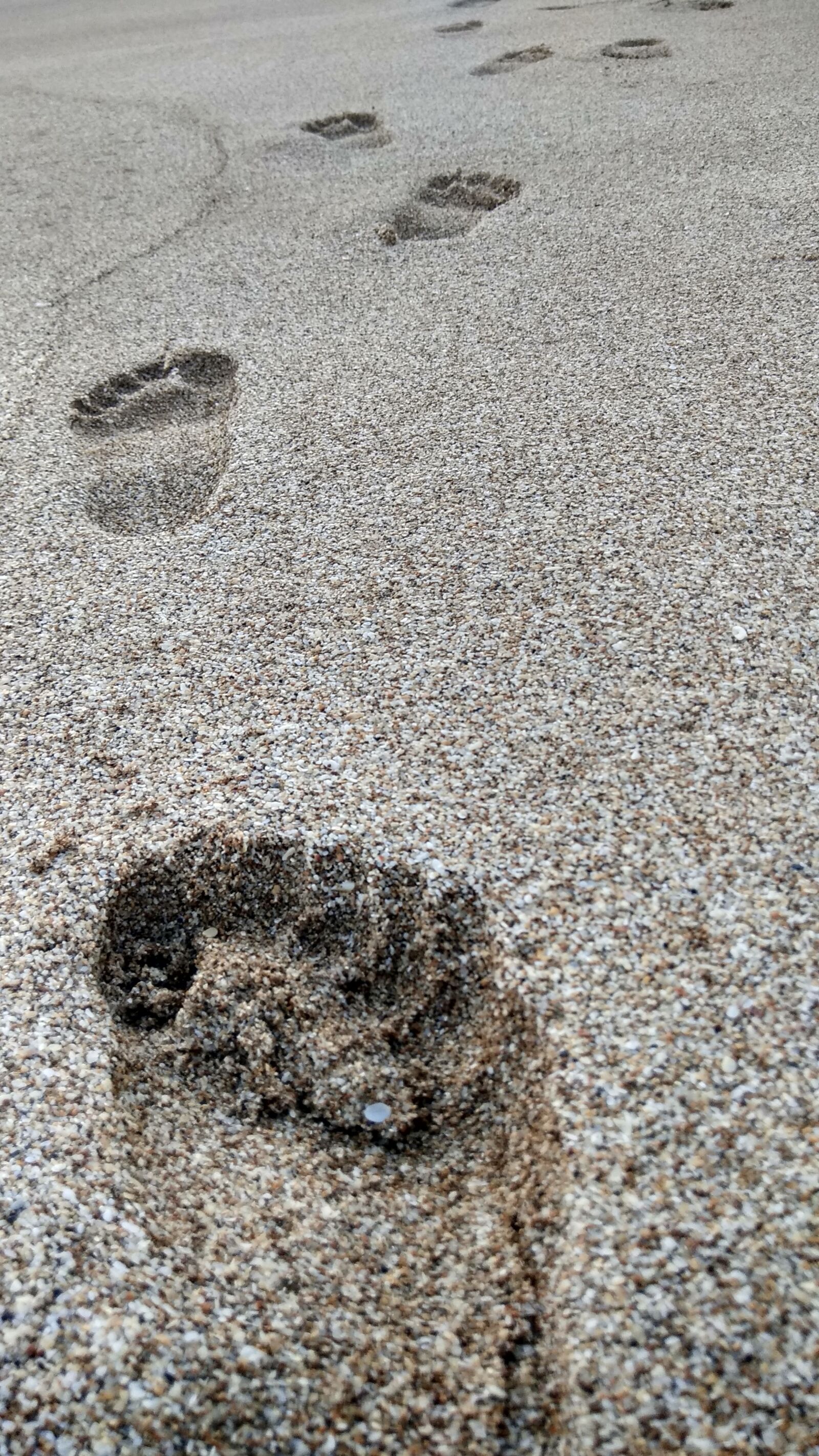 Xiaomi Redmi Note 4 sample photo. Footprints, beach, sand photography