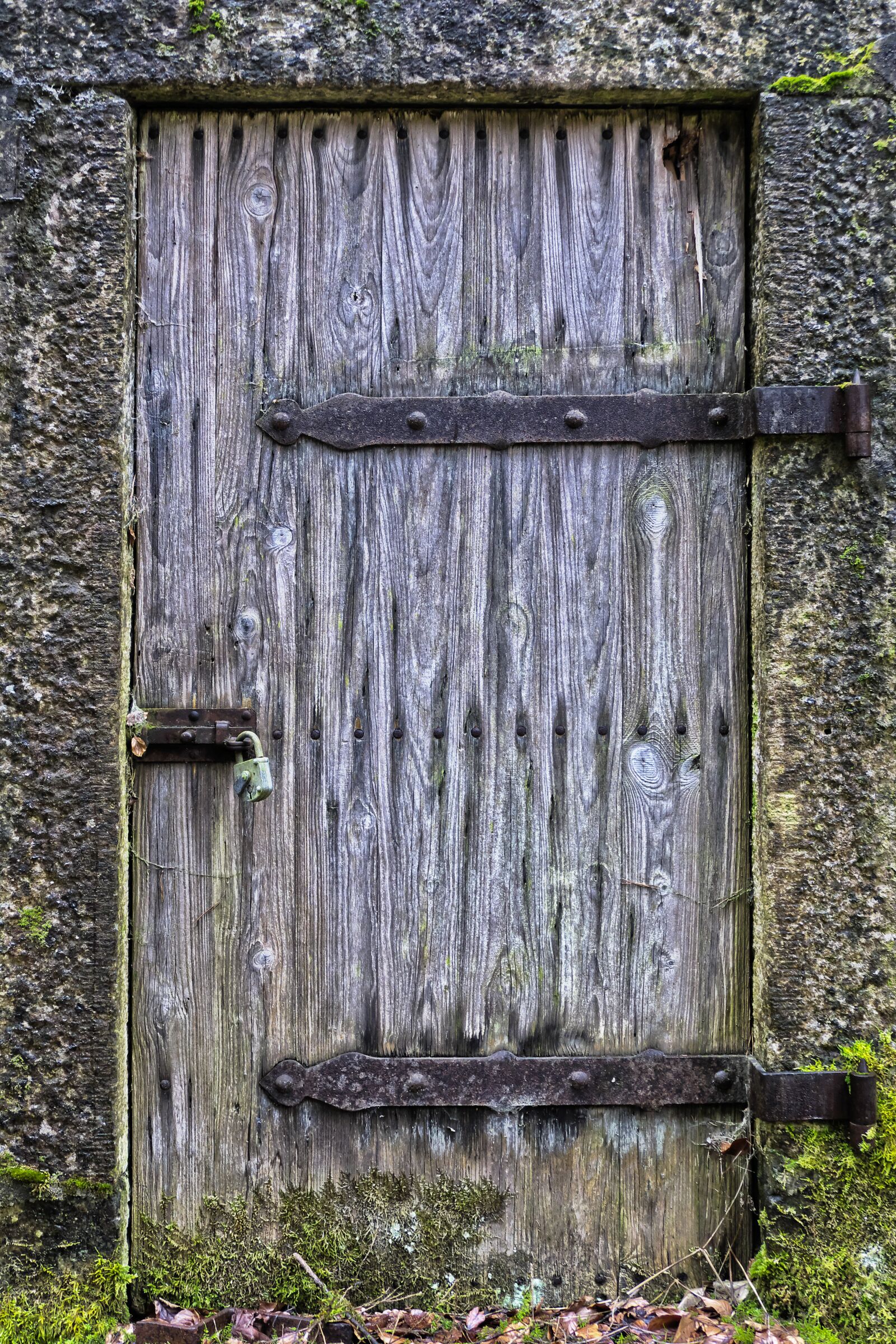 Panasonic Lumix DMC-FZ1000 sample photo. Door, old door, stable-door photography