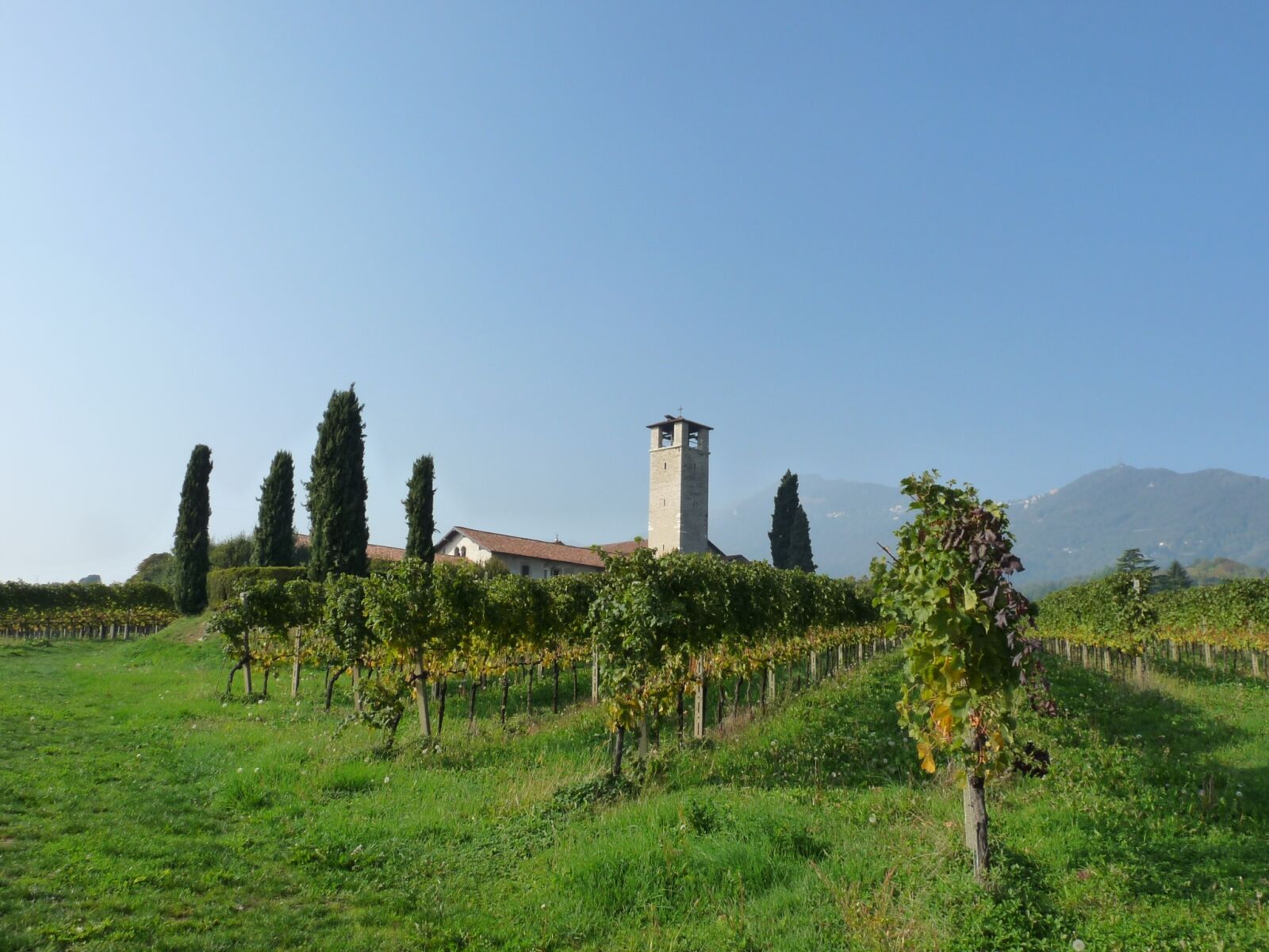Panasonic Lumix DMC-FZ28 sample photo. Church, vineyards, bergamo photography