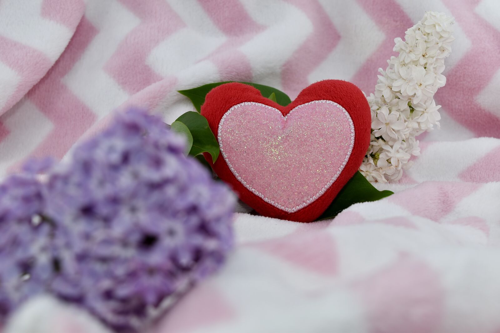 Nikon D5500 sample photo. Affection, lilac, love, romantic photography