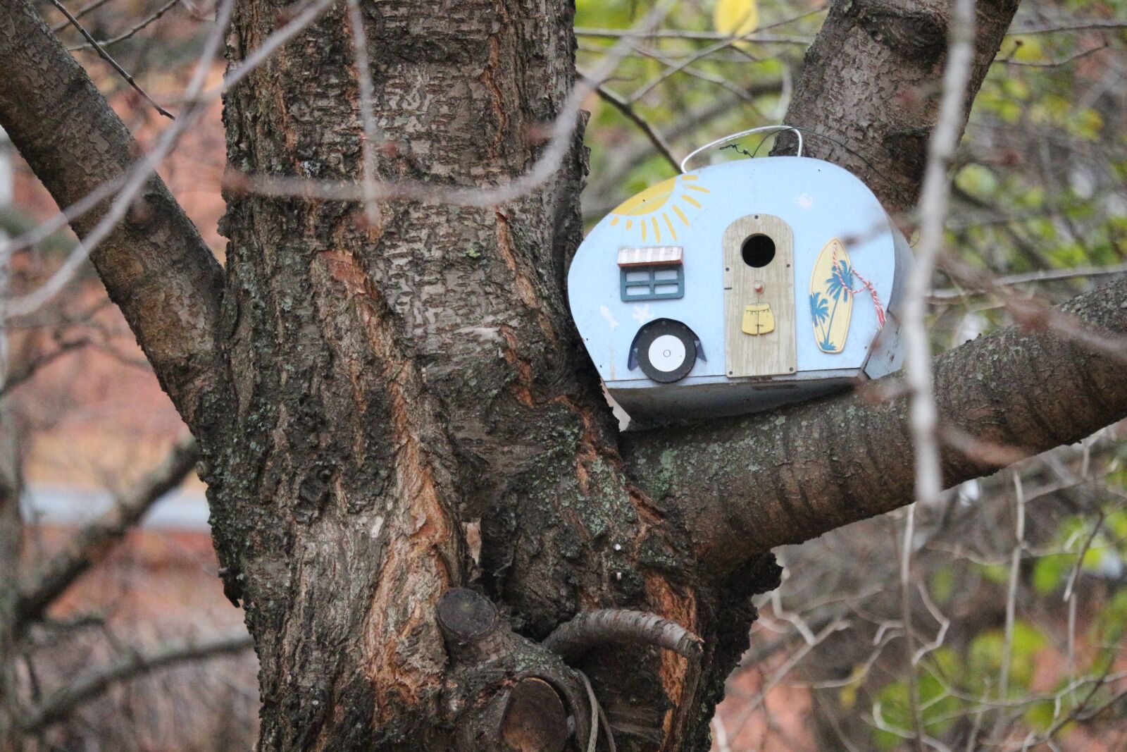 Canon EOS 700D (EOS Rebel T5i / EOS Kiss X7i) sample photo. Tree, aviary, caravan photography