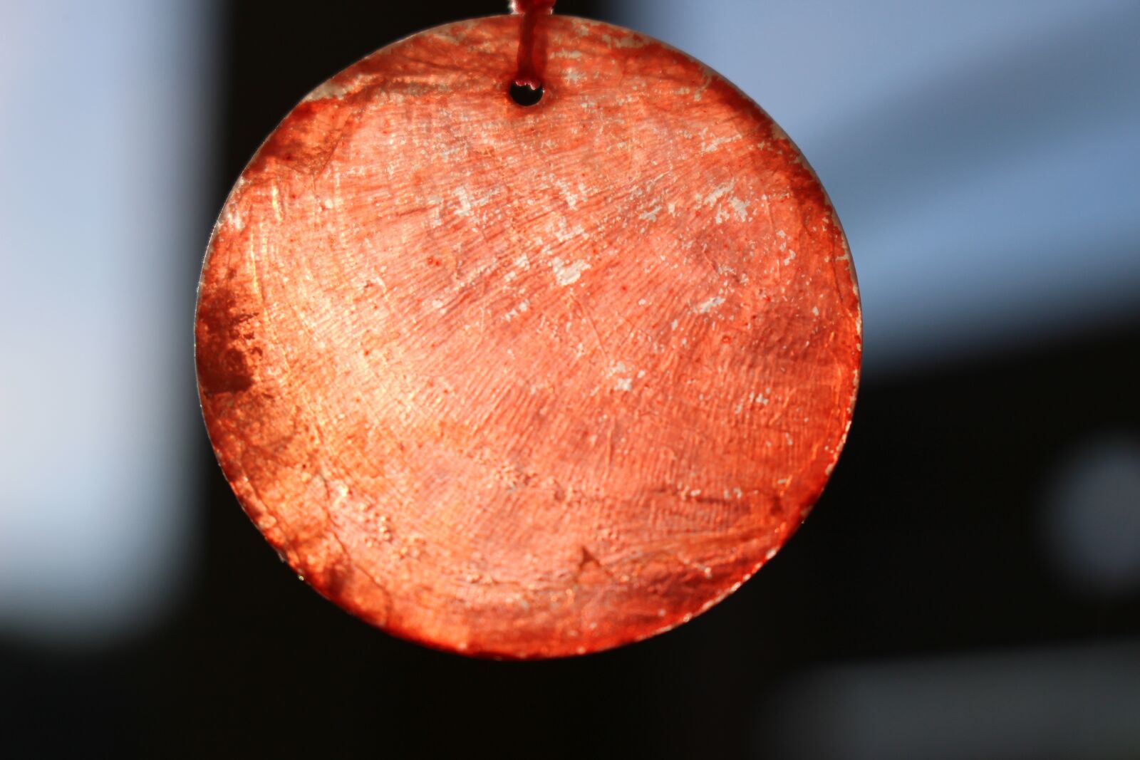 Canon EOS 100D (EOS Rebel SL1 / EOS Kiss X7) sample photo. Glass, macro, shell photography