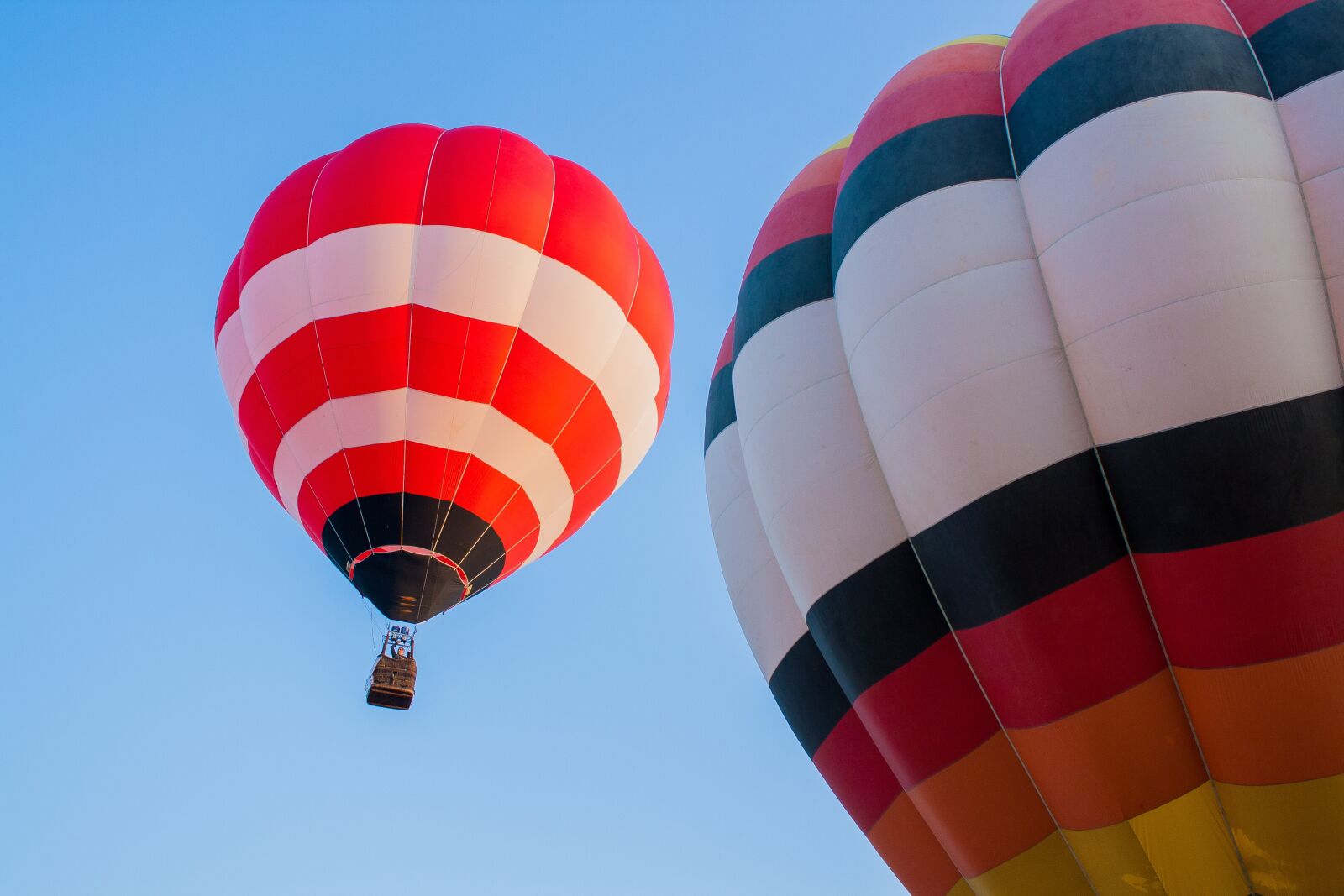 Canon EOS 1000D (EOS Digital Rebel XS / EOS Kiss F) sample photo. Balloon, hot air balloon photography