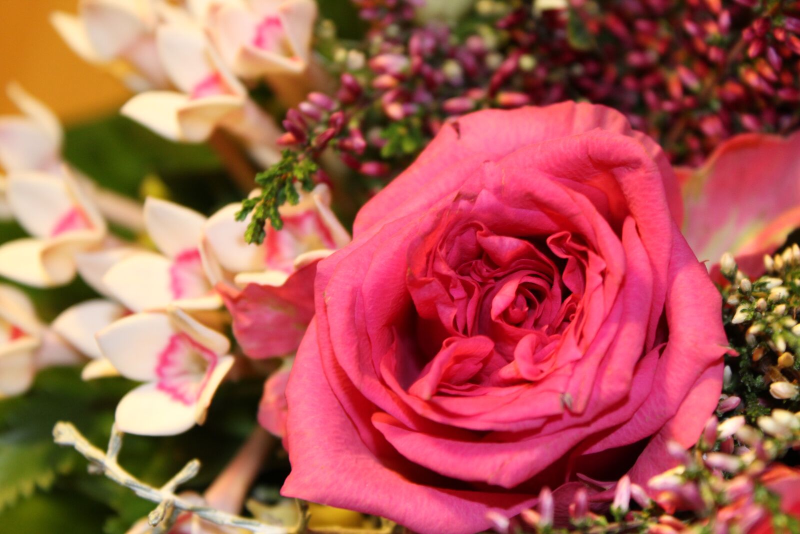 Canon EOS 1200D (EOS Rebel T5 / EOS Kiss X70 / EOS Hi) sample photo. Rose, pink, bouquet photography