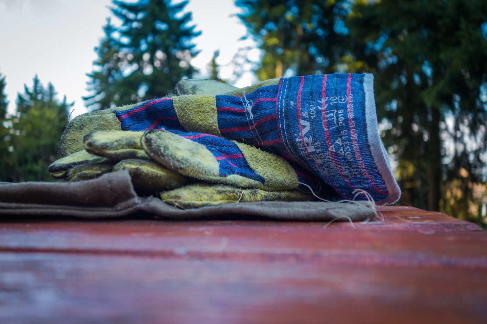 Sony Cyber-shot DSC-RX100 II sample photo. Work gloves, gloves, work photography