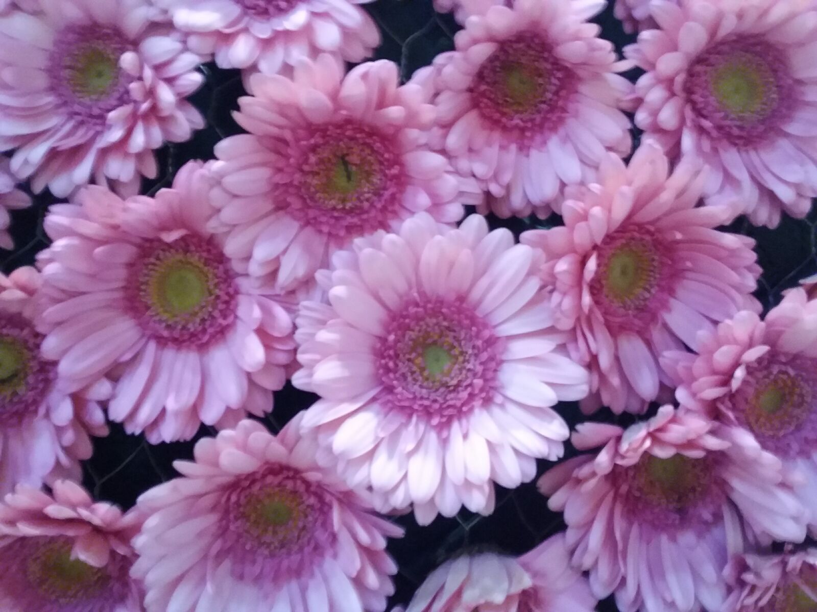 Samsung Galaxy J3(2016) sample photo