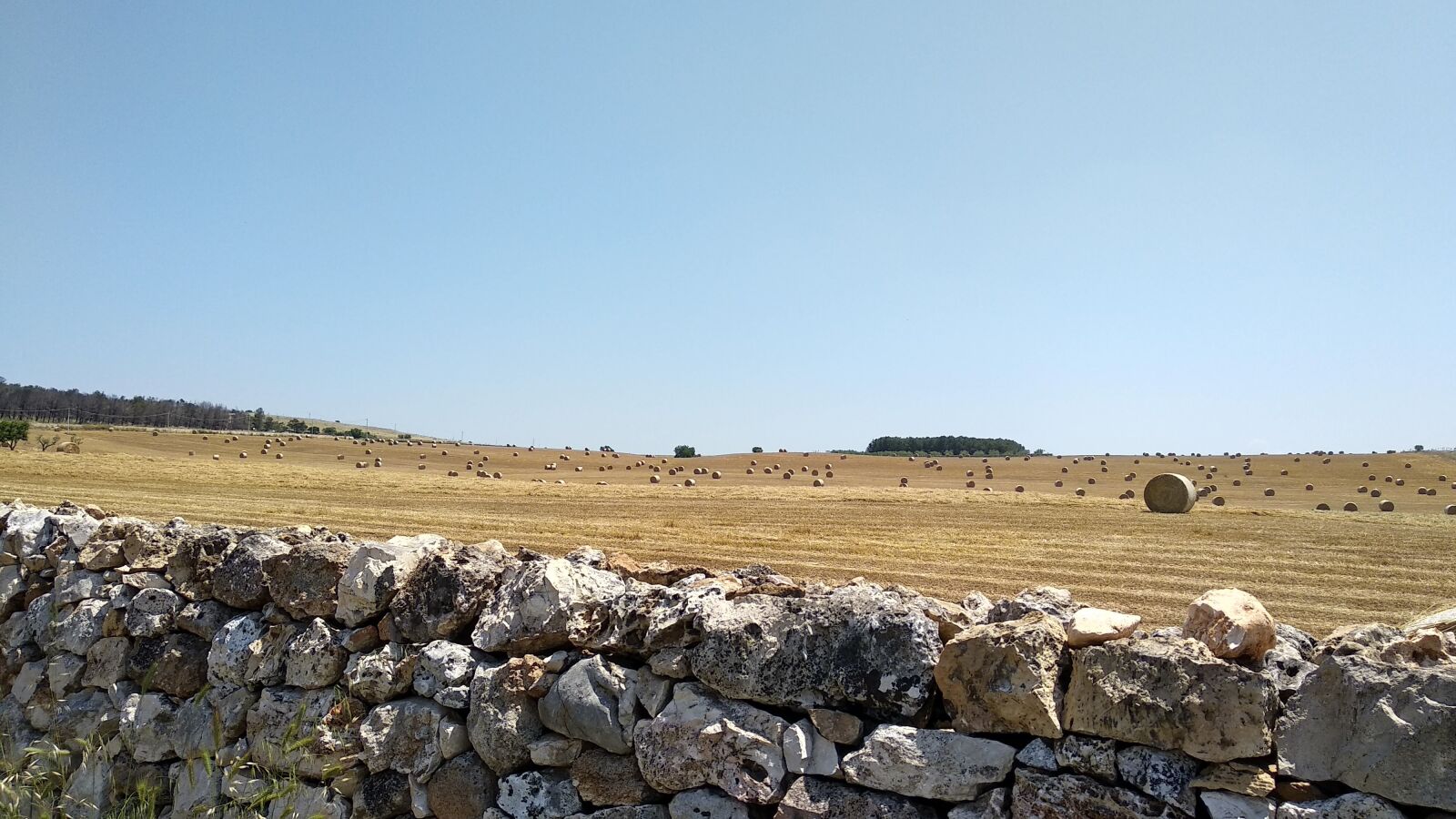 Xiaomi Mi A1 sample photo. Murgia, nature, hay photography