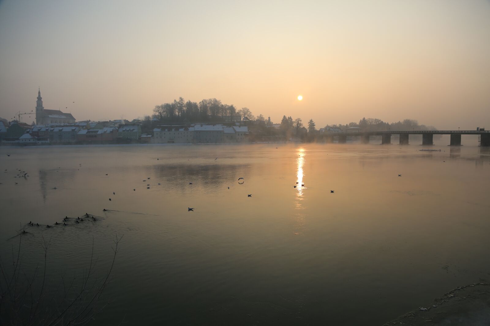 Canon EF 24-105mm F4L IS USM sample photo. Morning birds, light, water photography