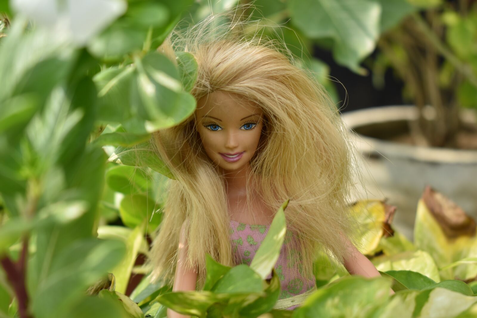 Nikon D5600 sample photo. Highland lass, doll, barbie photography