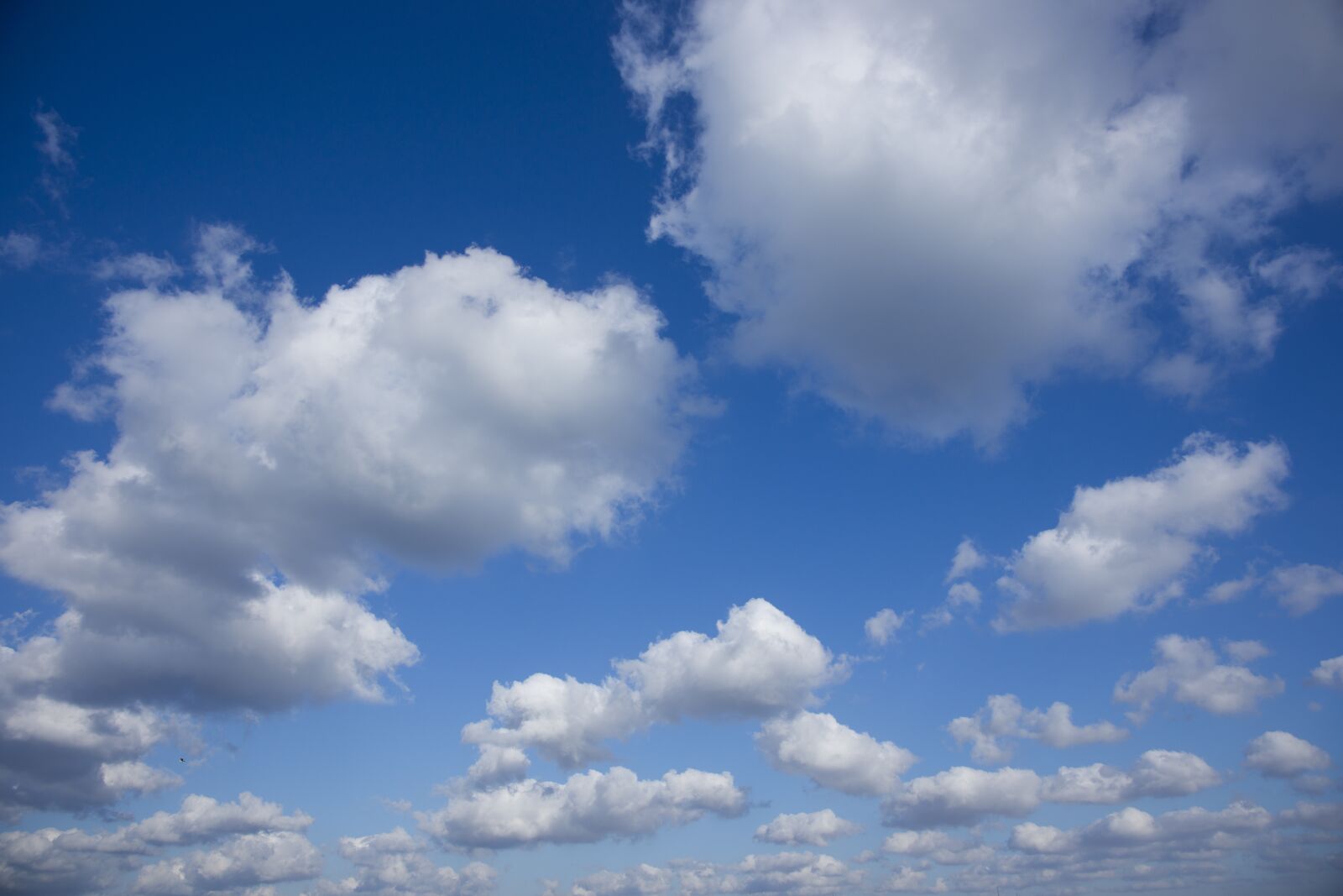 Sony Alpha DSLR-A850 sample photo. Cloud, blue, clouds photography
