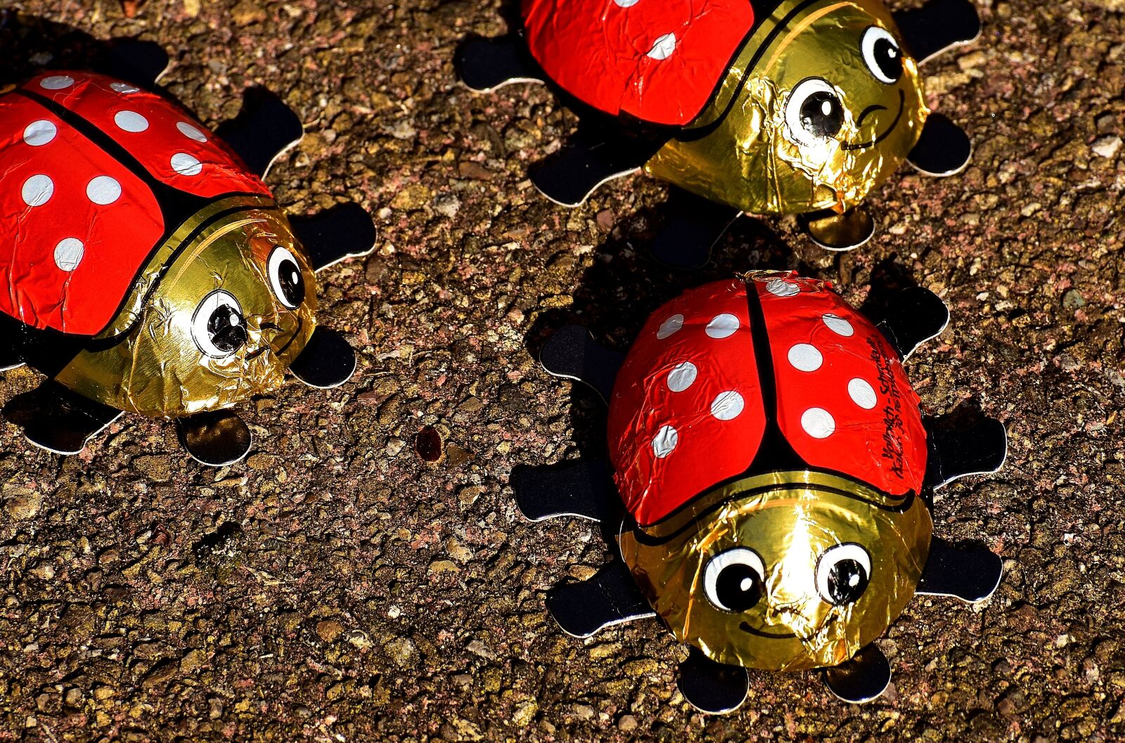 Nikon D7200 sample photo. Lucky ladybug, ladybug, chocolate photography