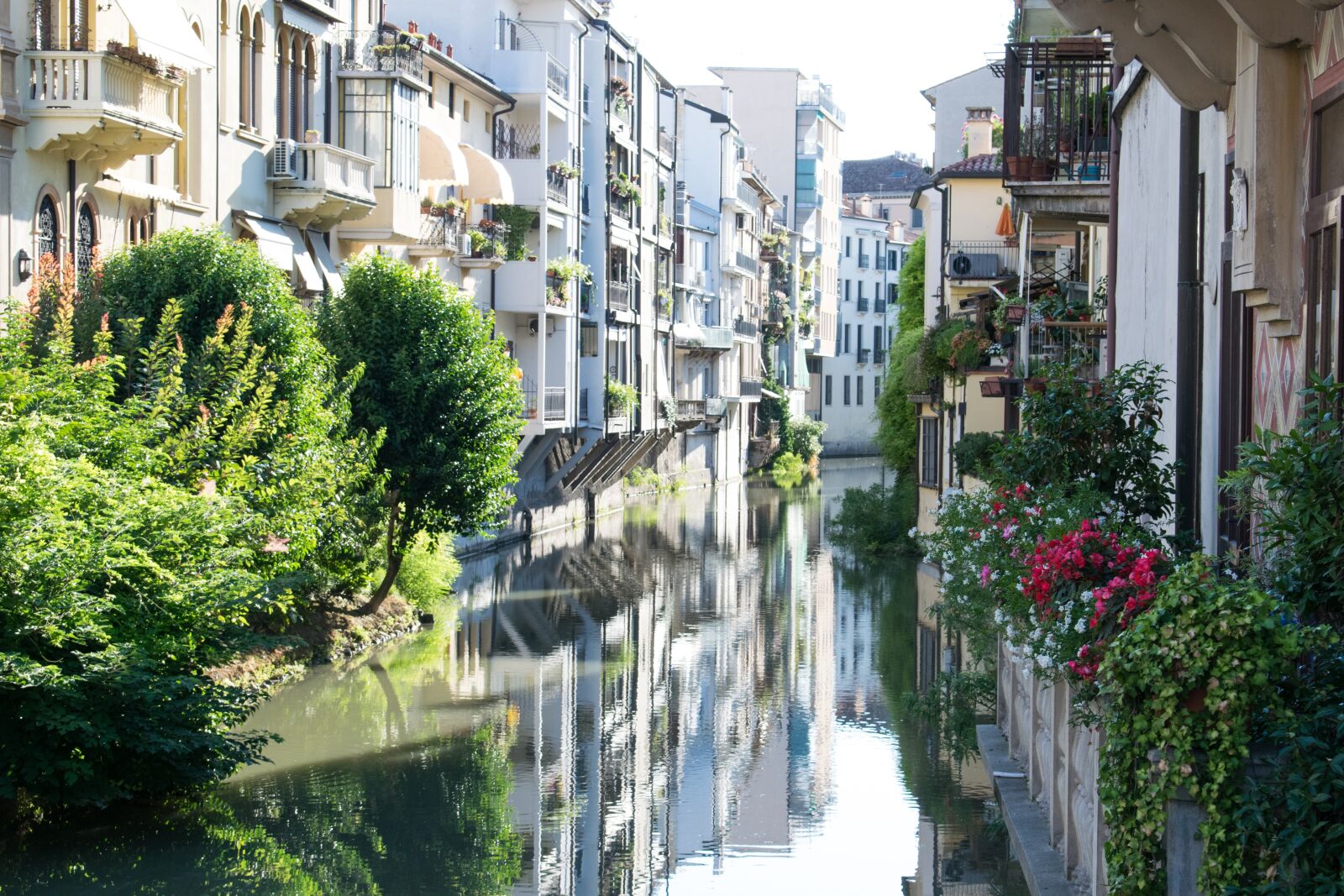 Nikon D3300 sample photo. Italy, padova, europe photography