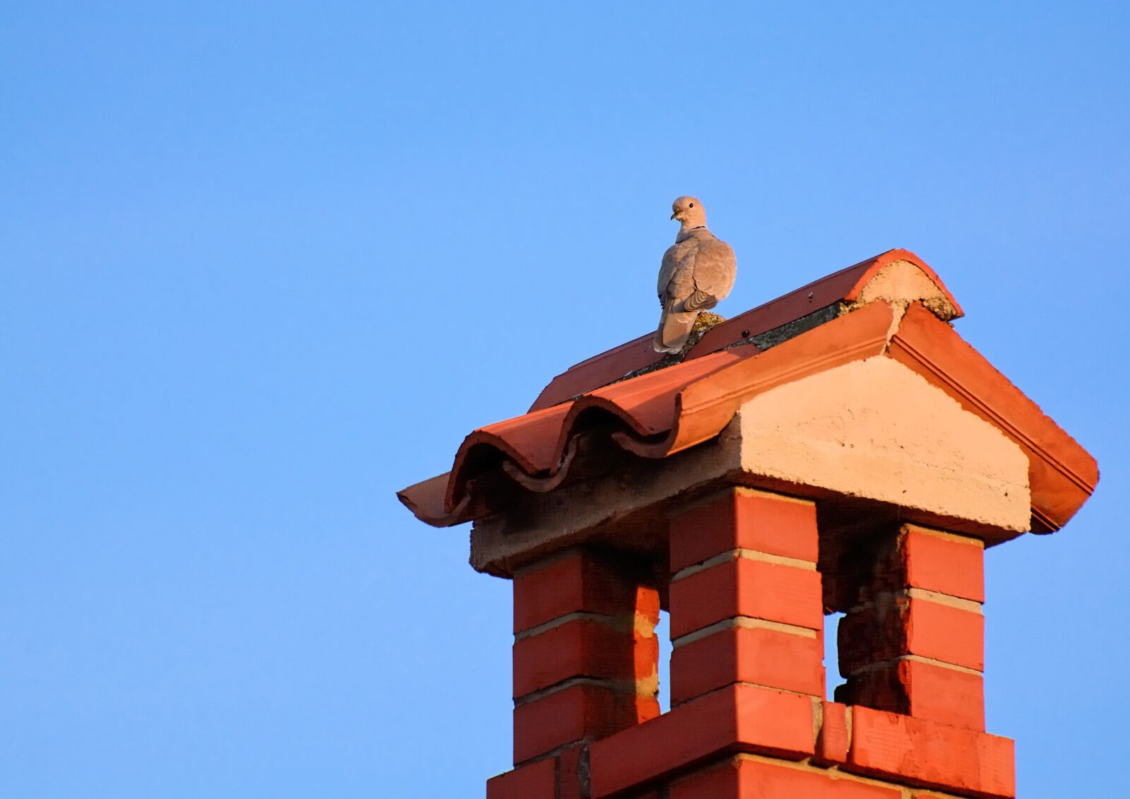 Nikon D7100 sample photo. Fireplace, dove, flue photography