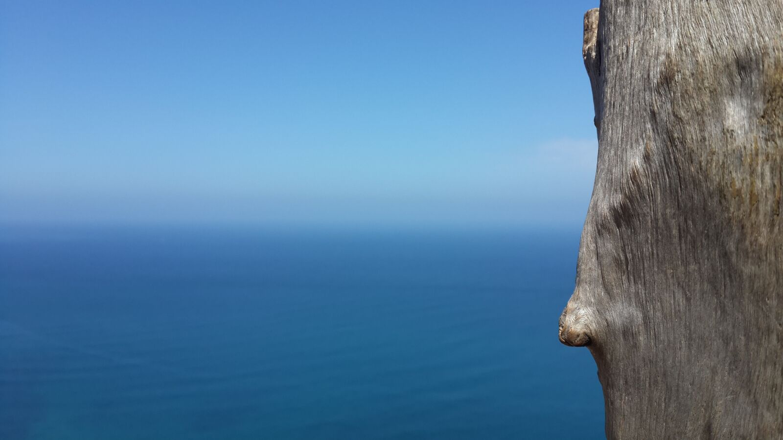 Samsung Galaxy S4 sample photo. Tree, sea, holiday photography