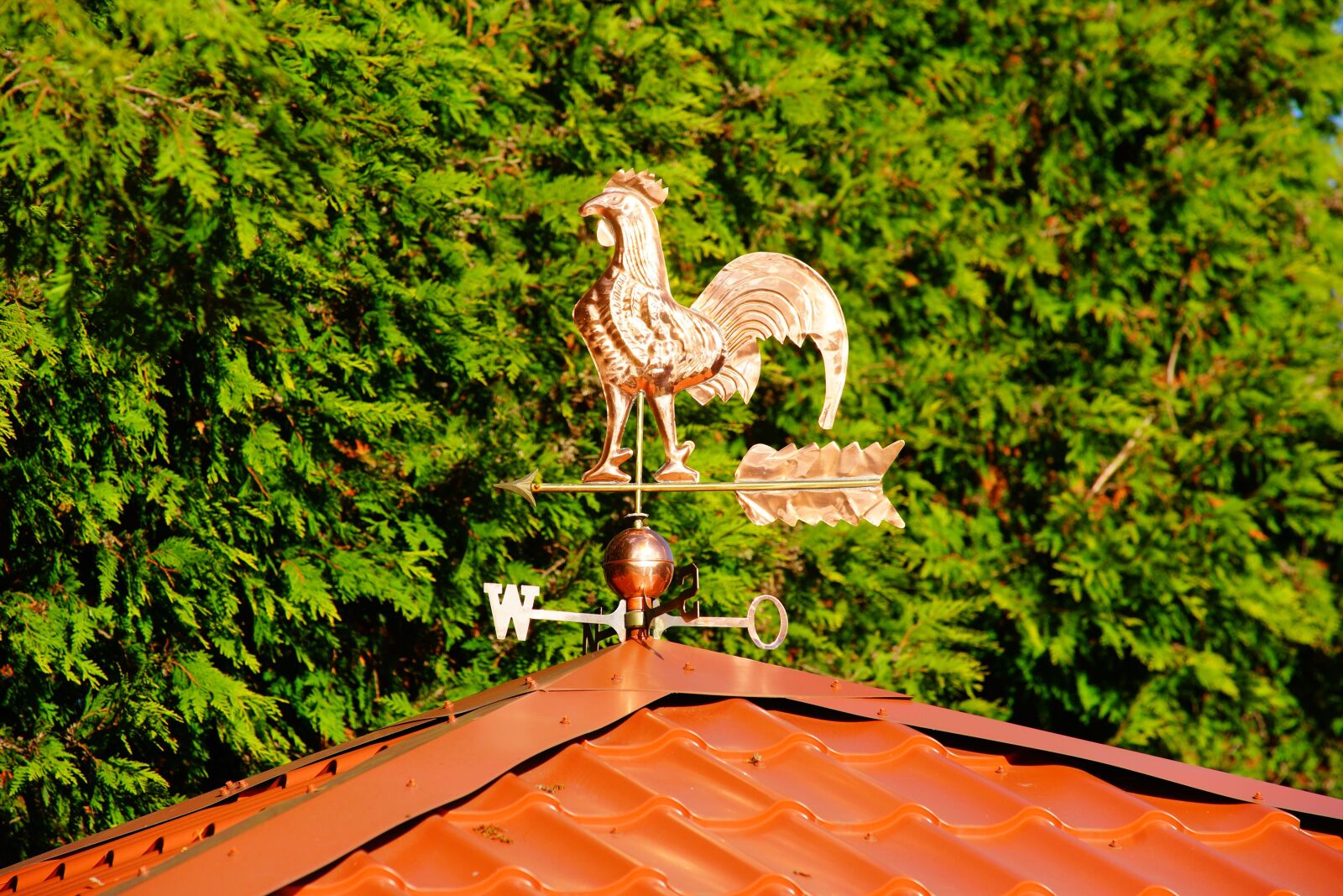 Sony a99 II sample photo. House, roof, weather vane photography