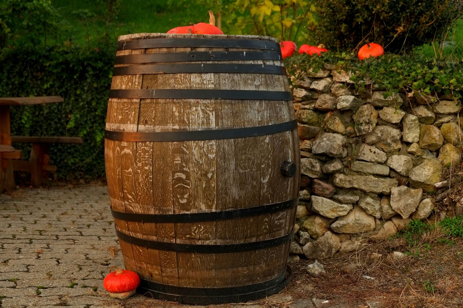 Fujifilm X-E1 sample photo. Wine barrel, wooden barrels photography