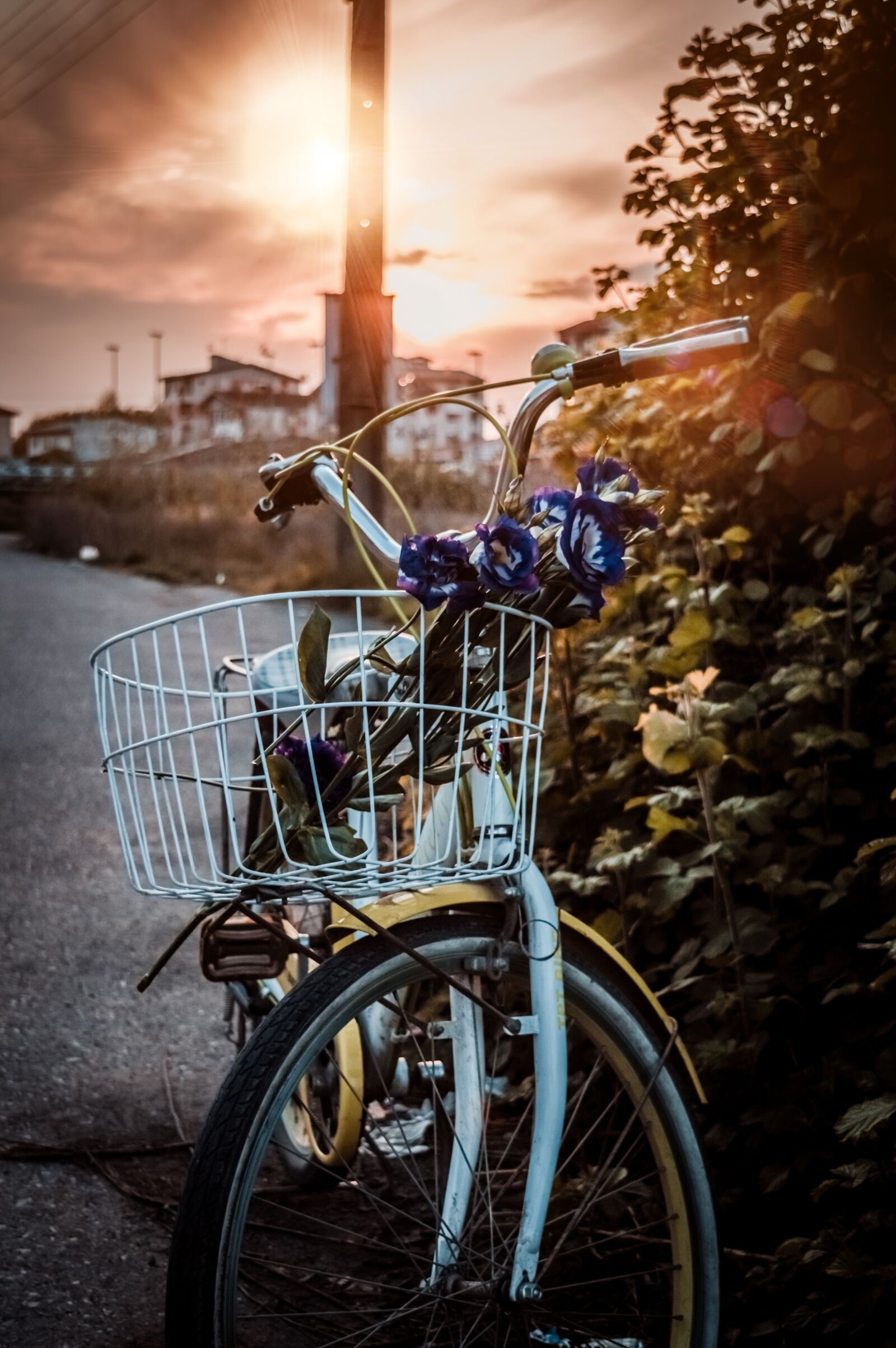 Nikon D3200 sample photo. Bicycle, bike, sun photography