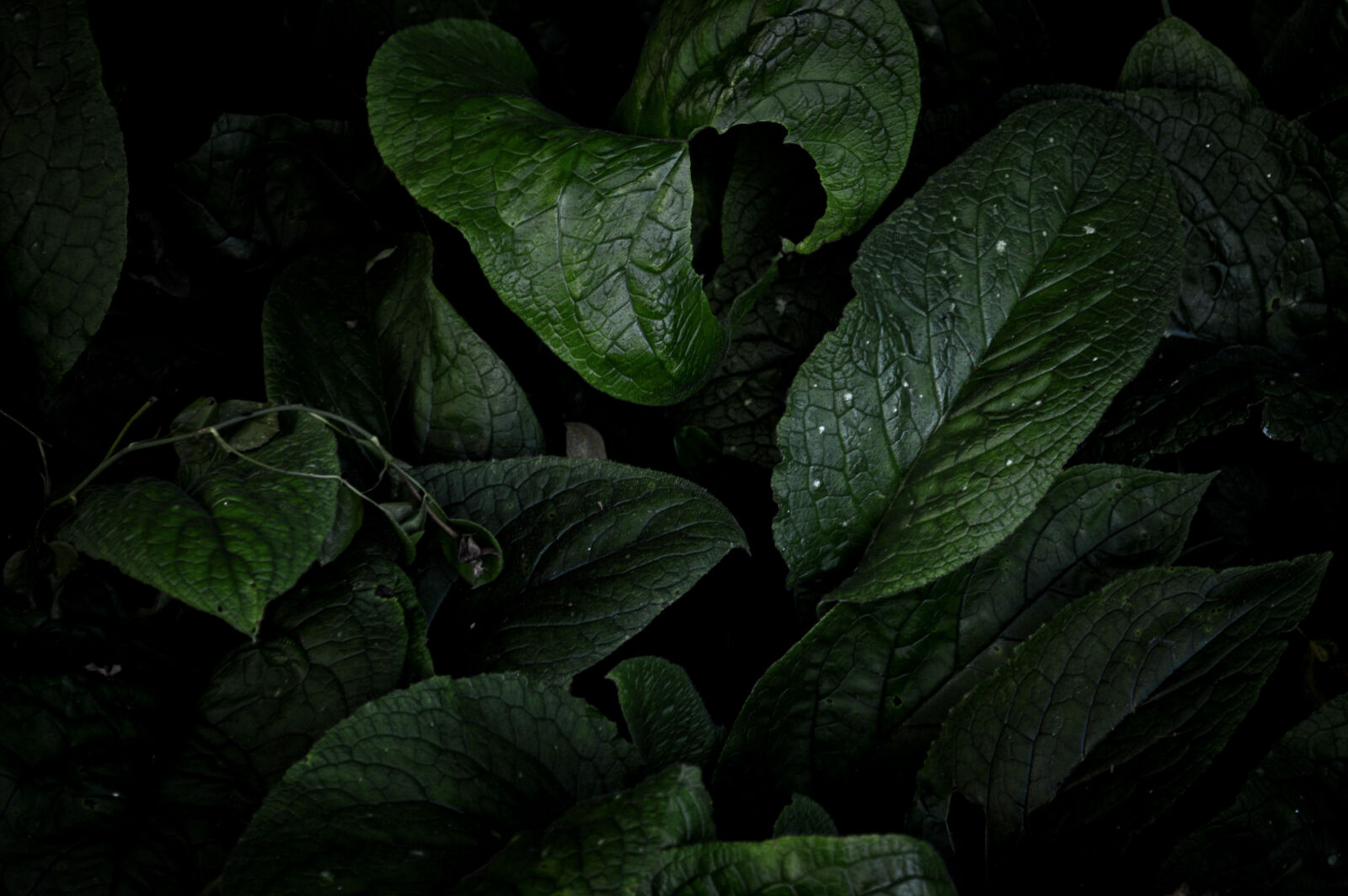 Nikon D3200 sample photo