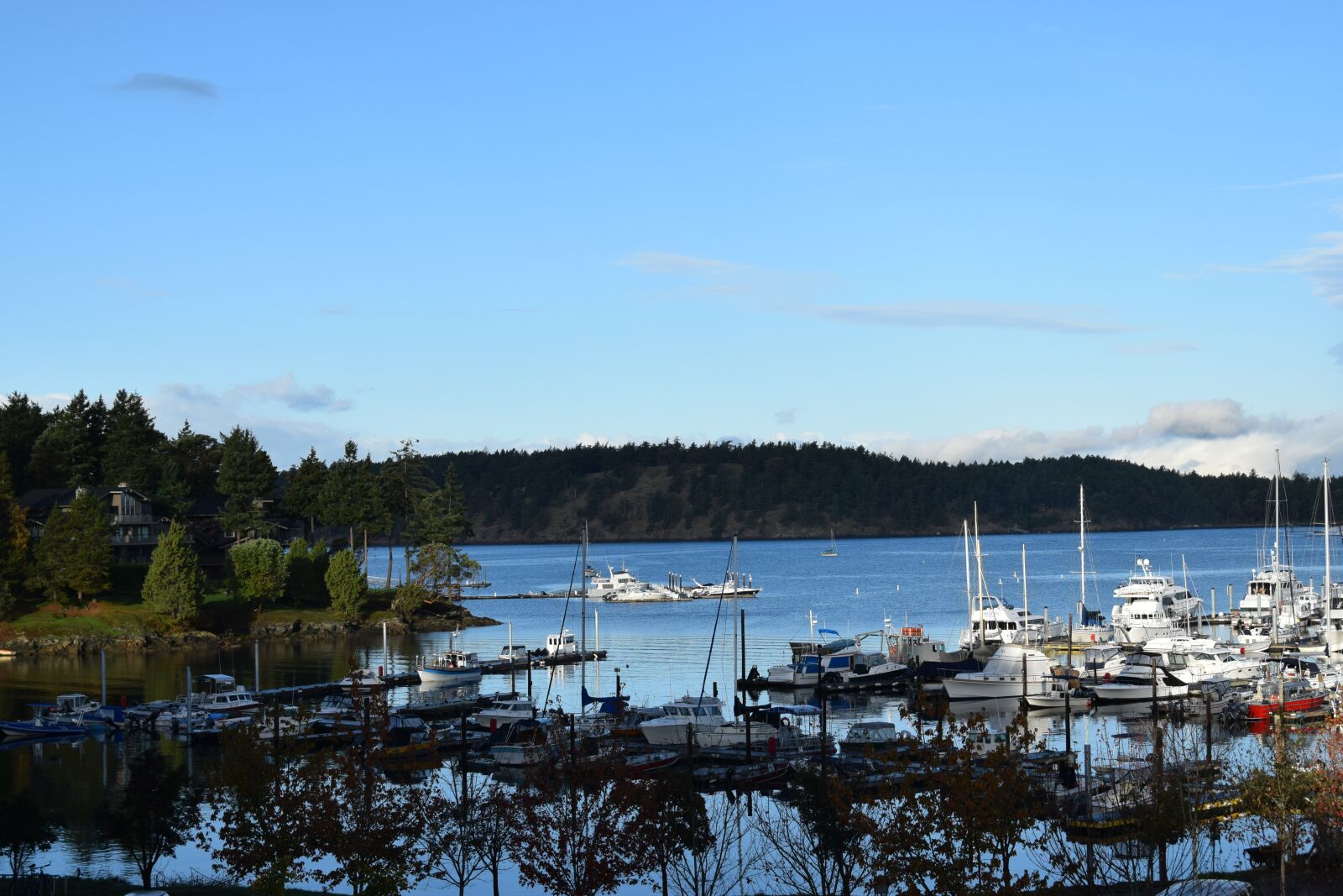 Nikon D5300 sample photo. Boats, harbor, water photography