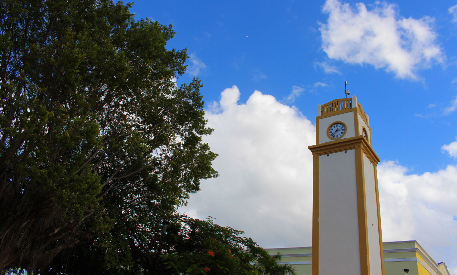 Canon EOS 700D (EOS Rebel T5i / EOS Kiss X7i) sample photo. Clock photography