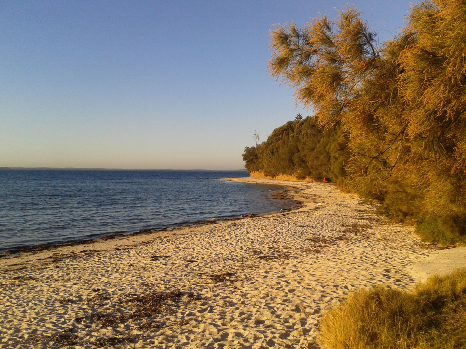 Samsung Galaxy Ace sample photo. Australia, beach, coastal photography