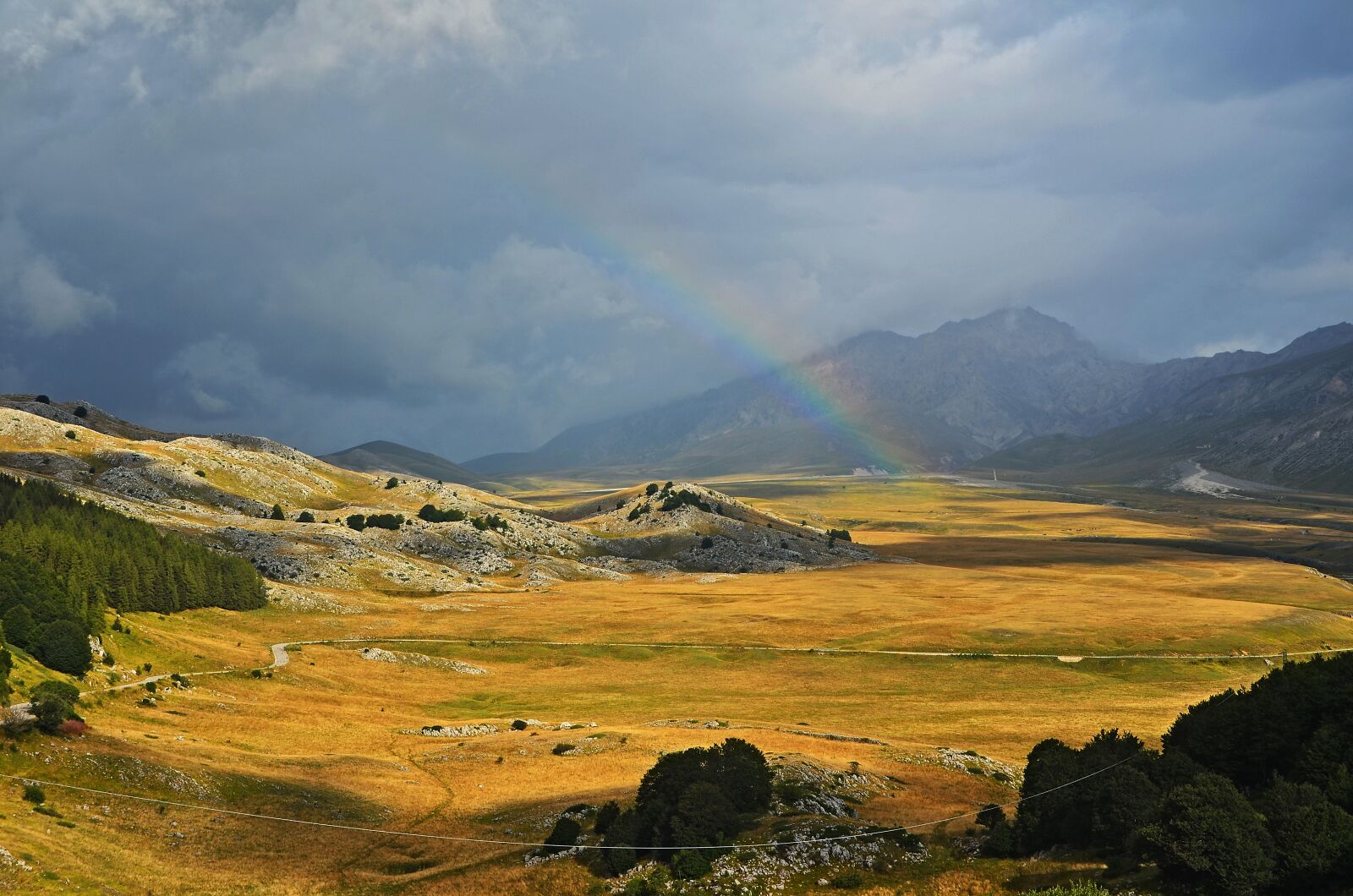 Nikon D5100 sample photo. Nature, field, rainbow photography