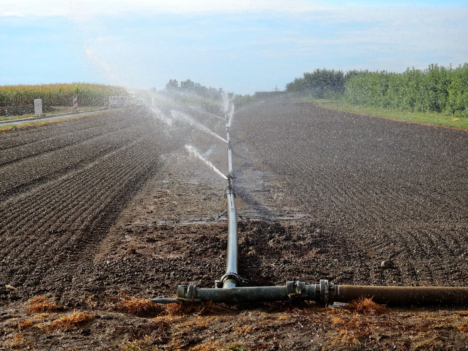 Nikon Coolpix P900 sample photo. Field, arable, agriculture photography