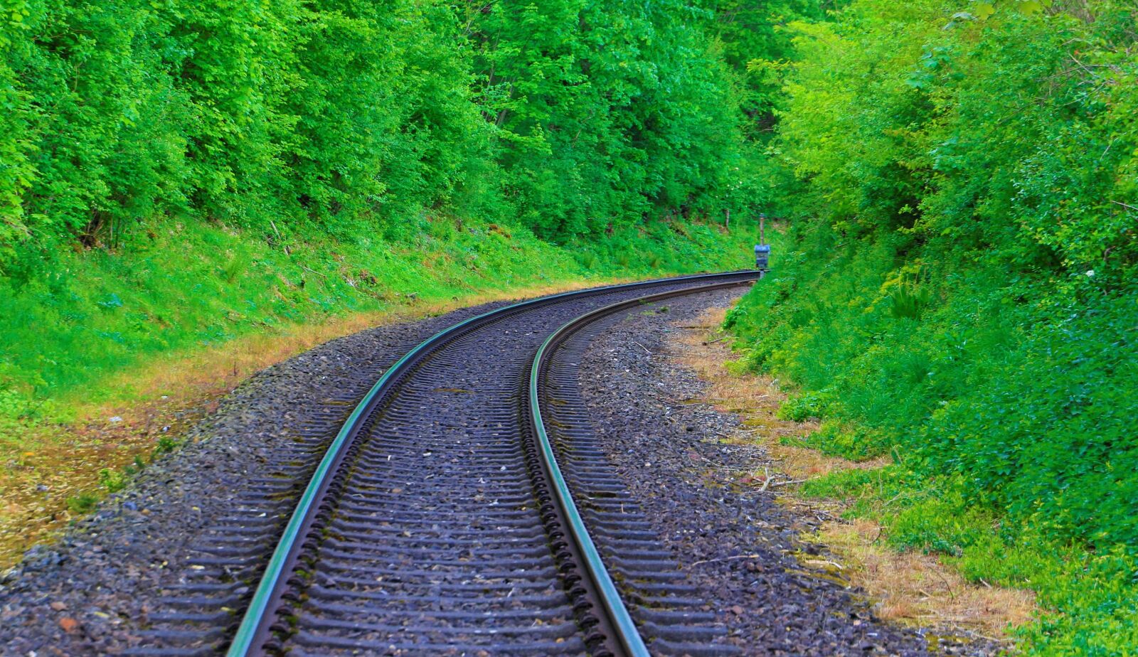 Canon EOS 7D Mark II sample photo. Track, railway, rails photography