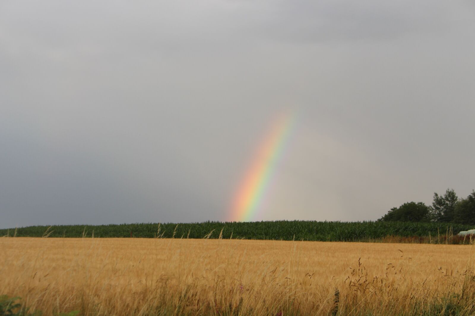 Canon EOS 700D (EOS Rebel T5i / EOS Kiss X7i) + Canon EF-S 18-55mm F3.5-5.6 IS STM sample photo. Rainbow, rain, field photography