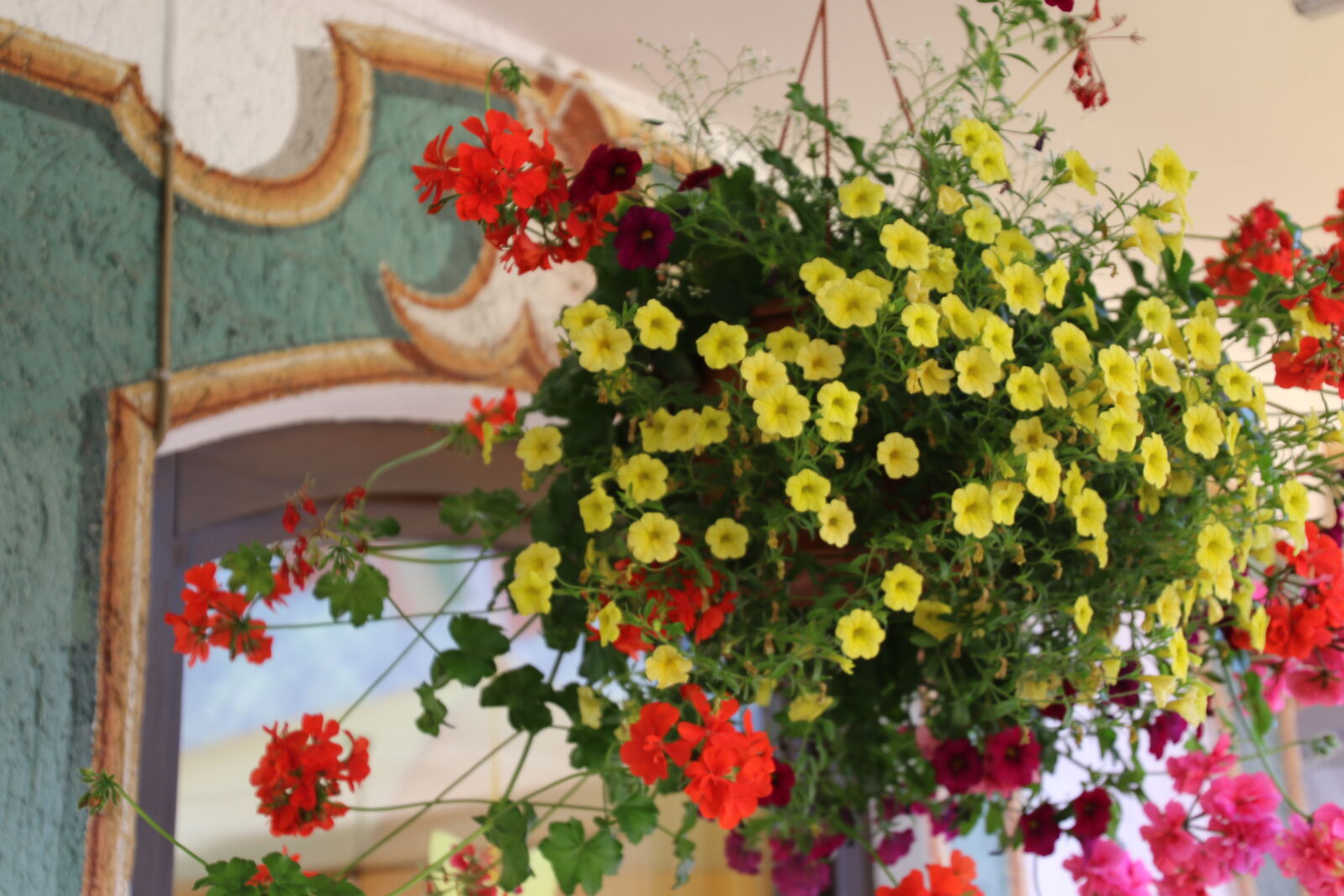 Canon EOS 7D Mark II sample photo. Flowers, garden, hanghing, basket photography