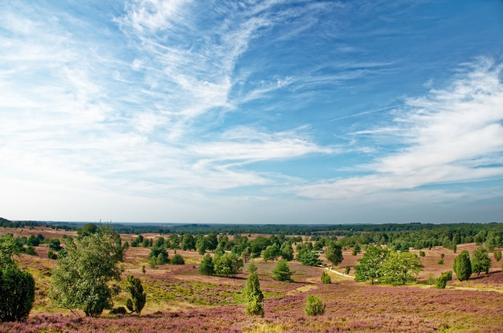 Nikon D7000 sample photo. Germany, l neburg heath photography