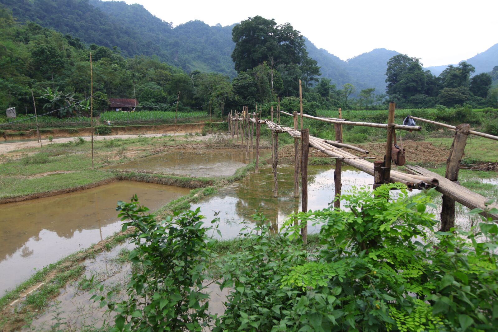 Canon EOS 5D Mark II sample photo. Bamboo bridge, bridge legend photography