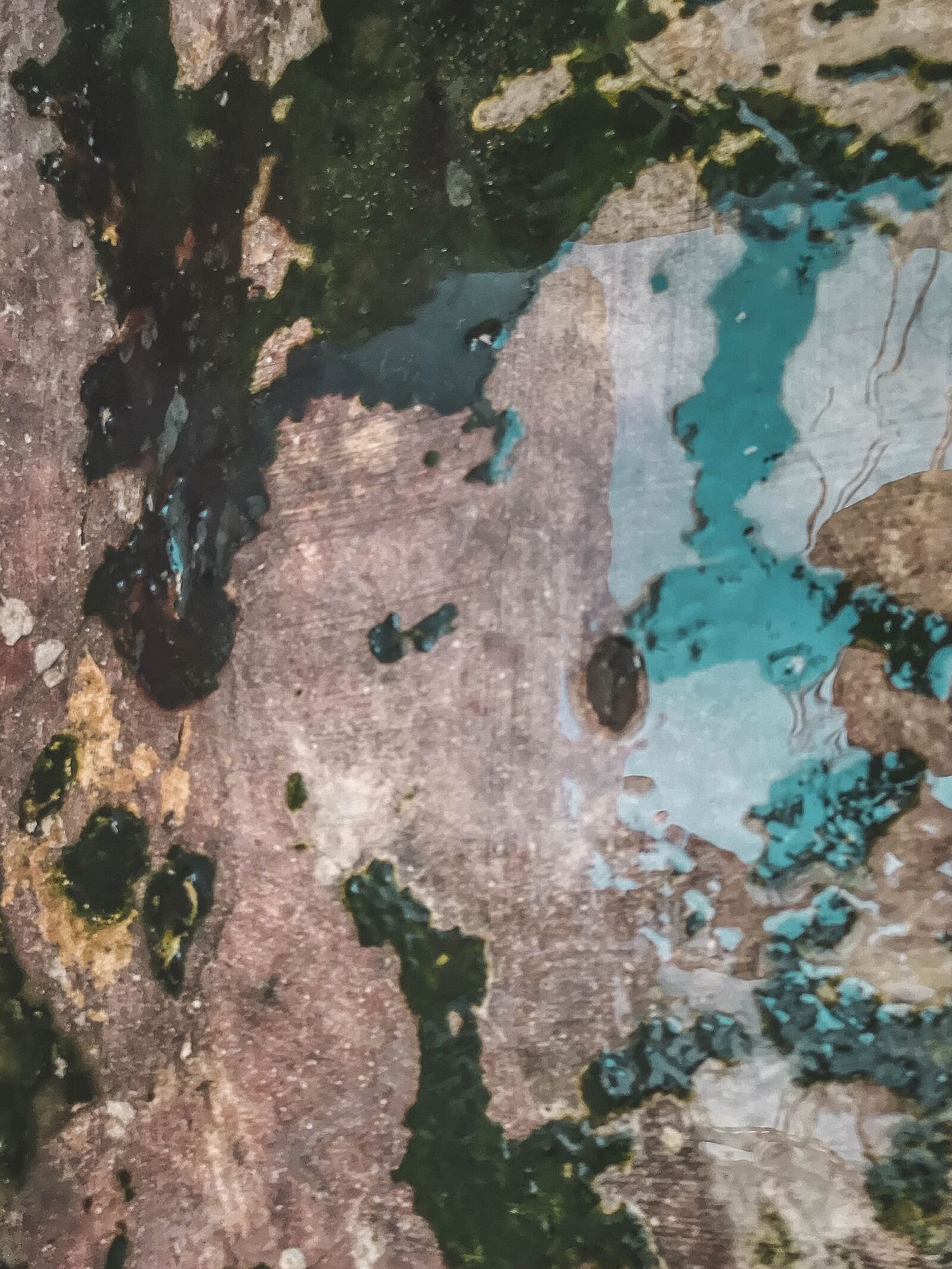 HUAWEI CLT-L29 sample photo. Moss, green, texture photography