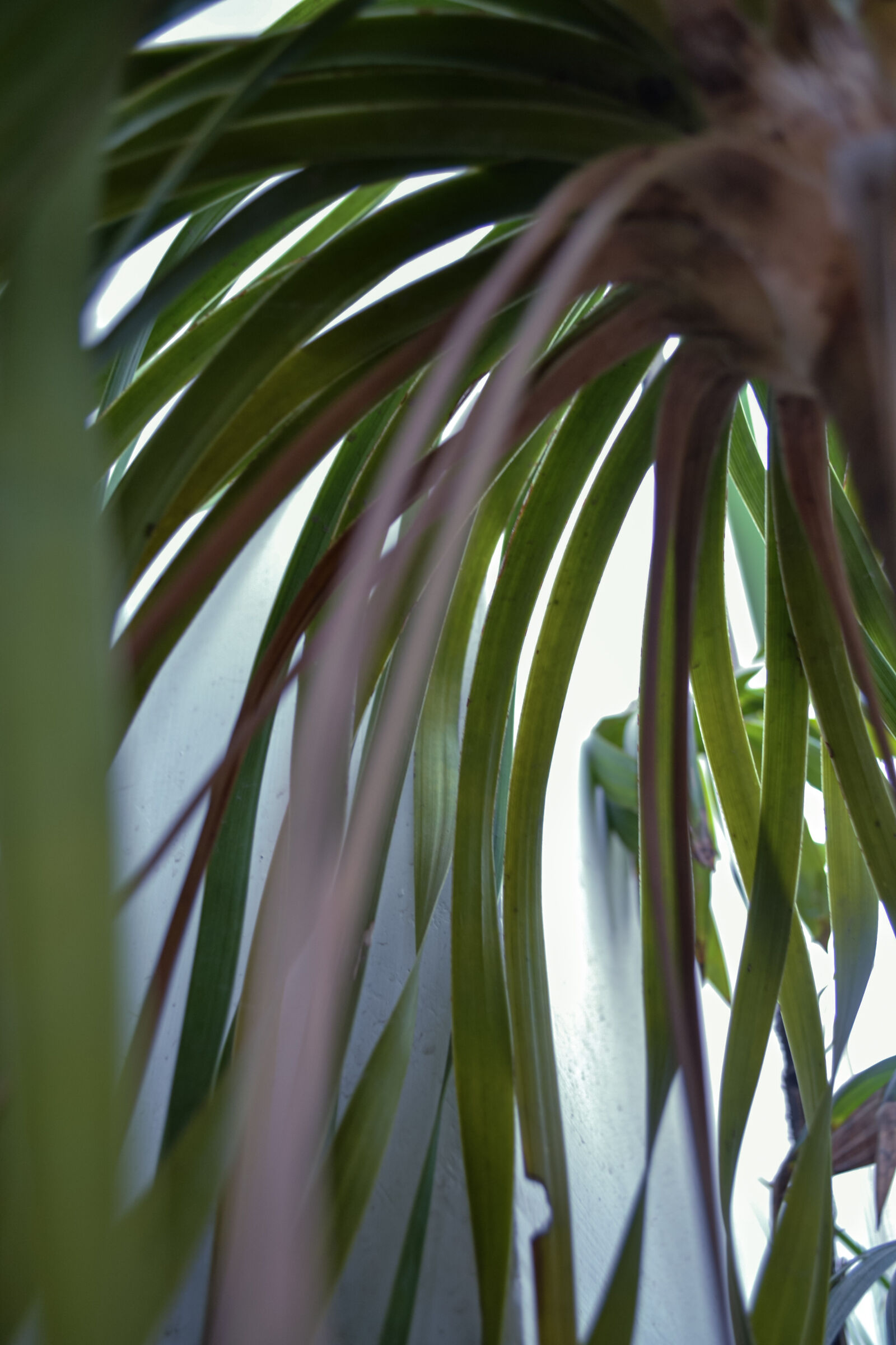 Nikon D3100 sample photo