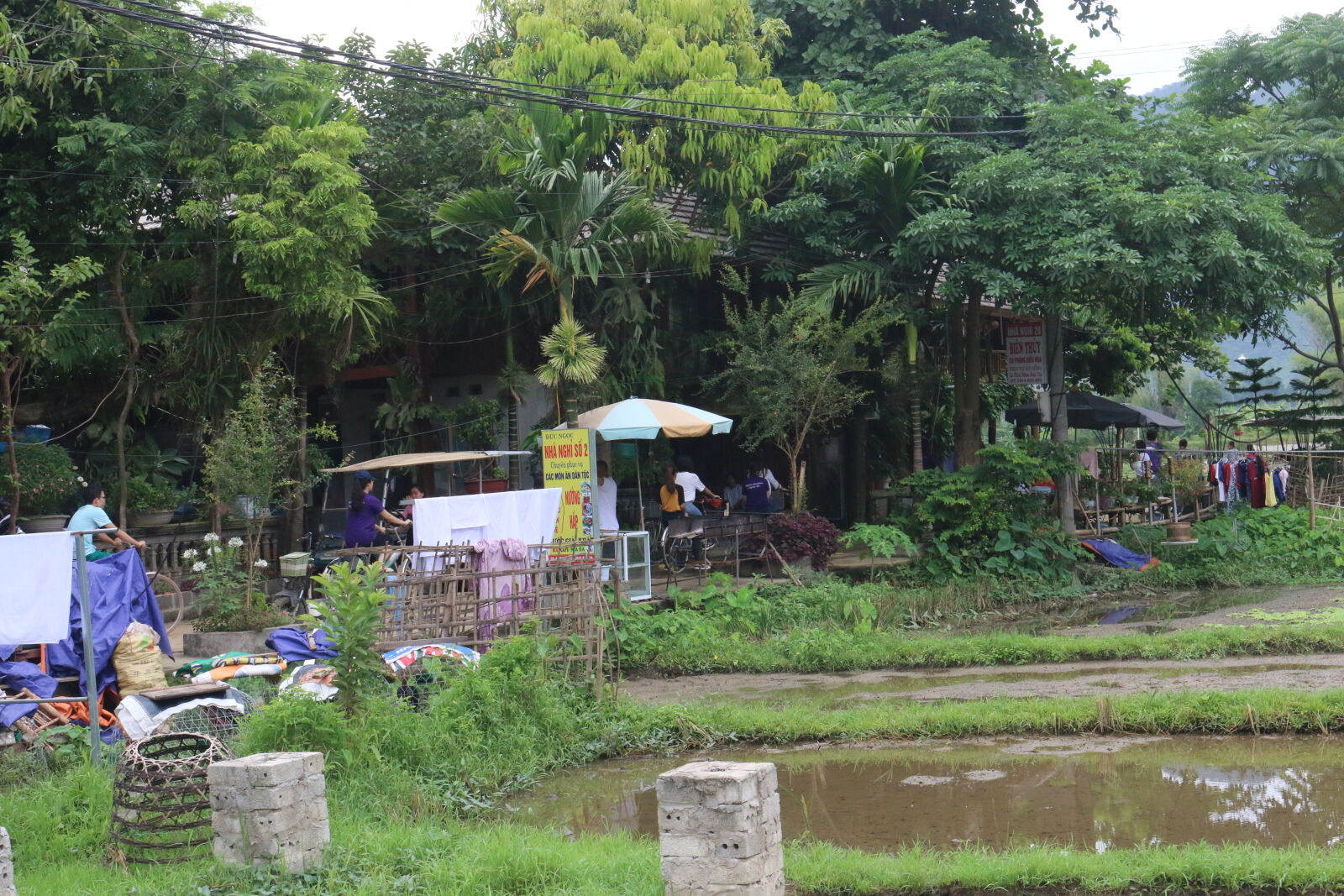 Canon EOS 70D sample photo