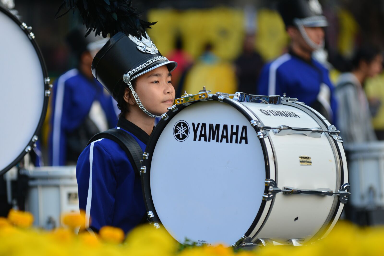 Nikon D800 sample photo. Musician, royal, people photography