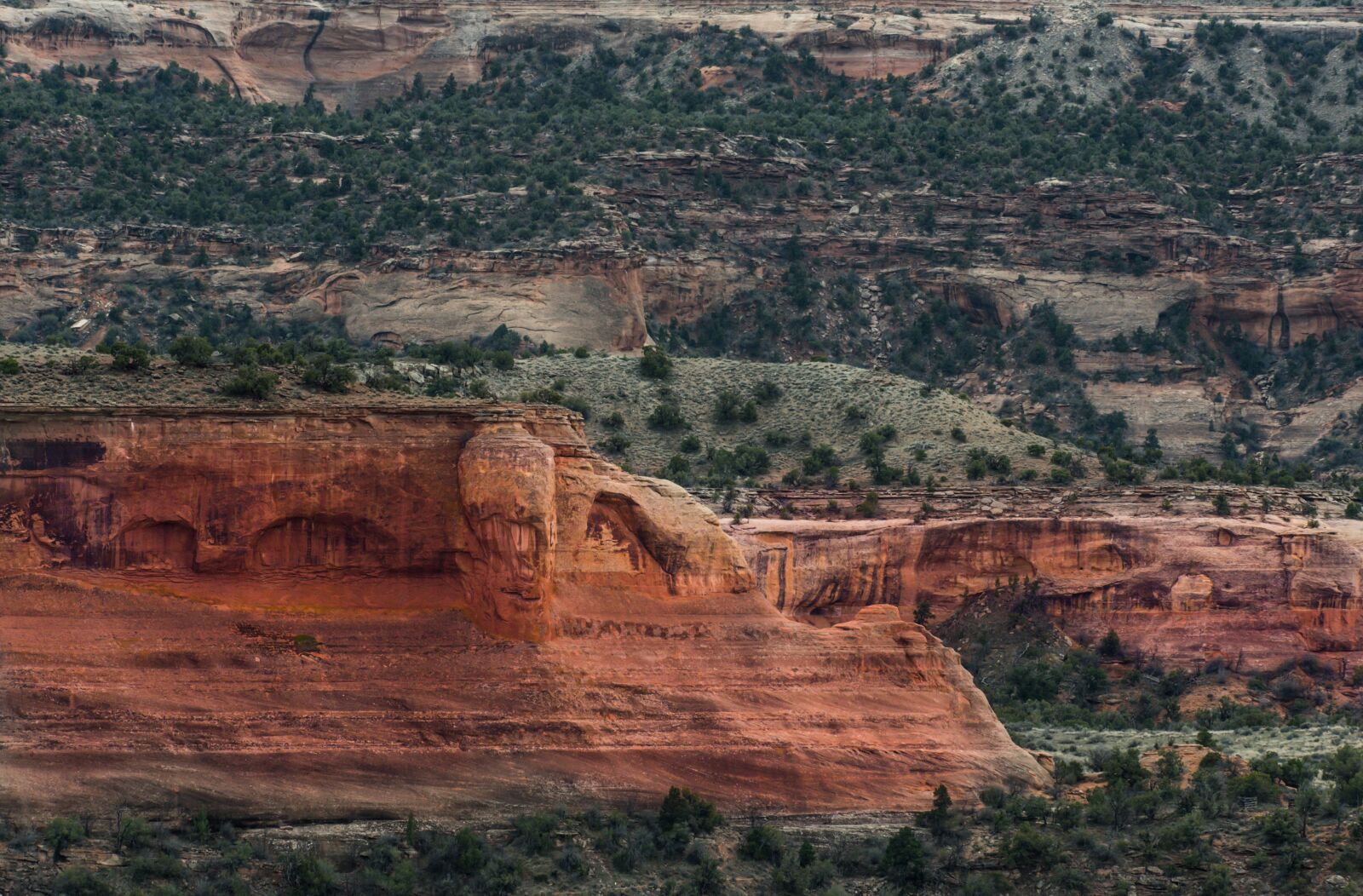 Nikon D750 sample photo. Canyon, dry, geology photography