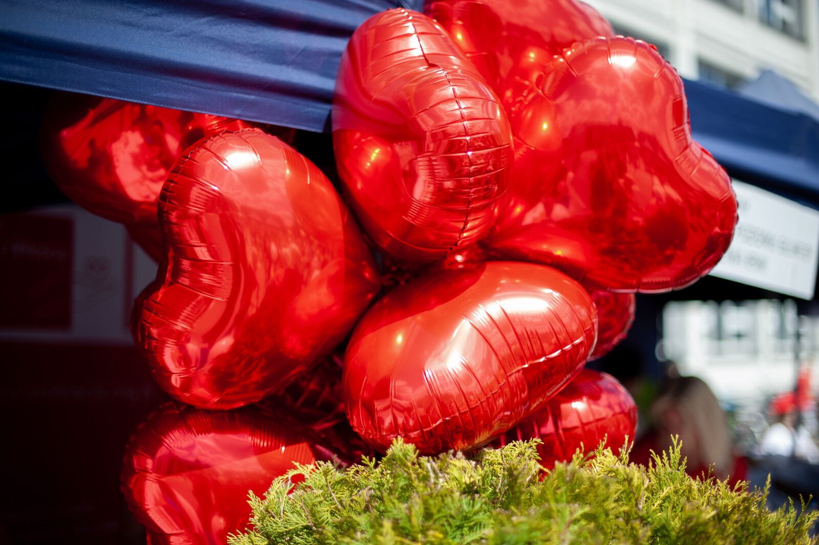 Nikon D700 sample photo. Balloons, hearts, balloon photography