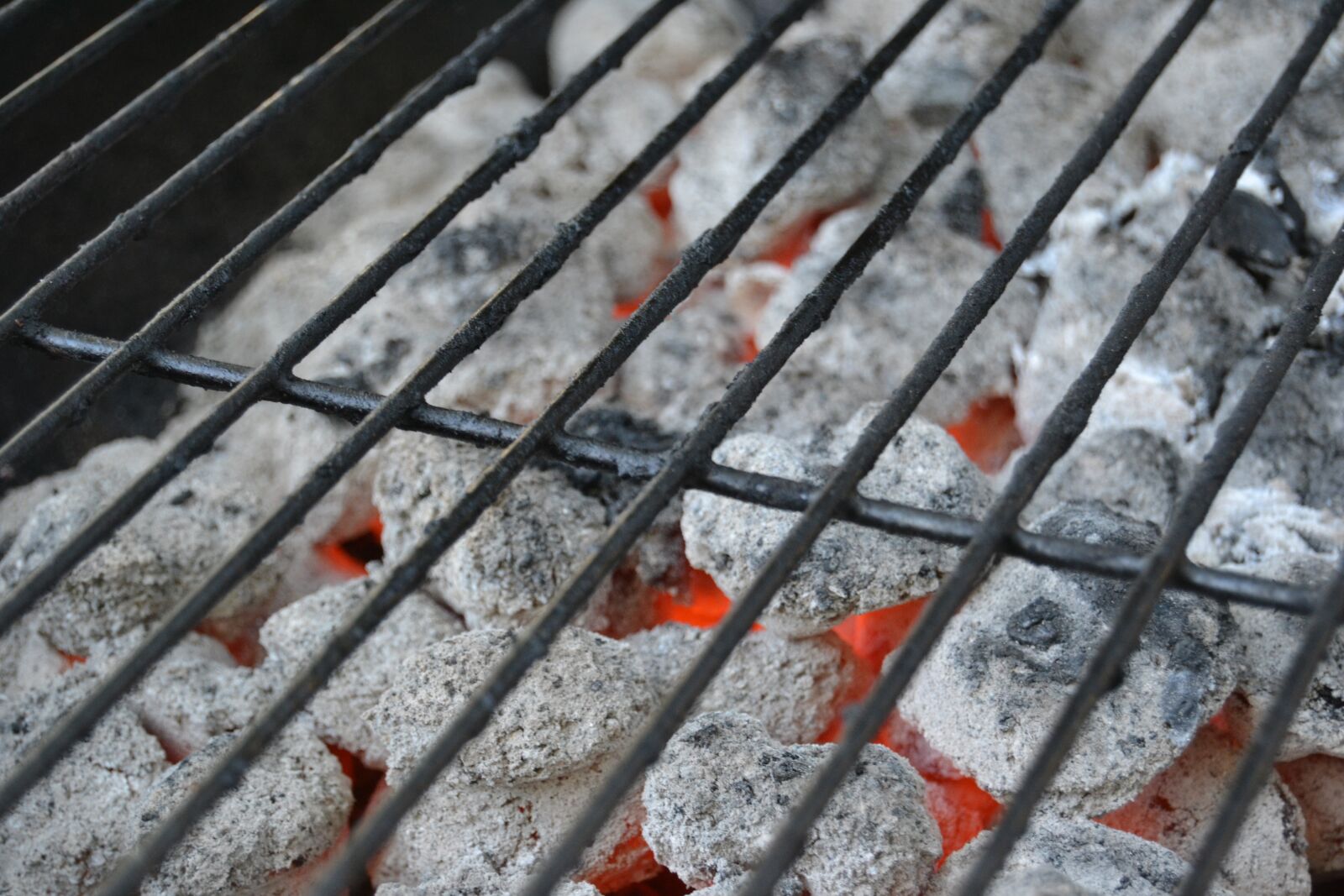 Nikon D3100 sample photo. Charcoal, bbq, barbecue photography