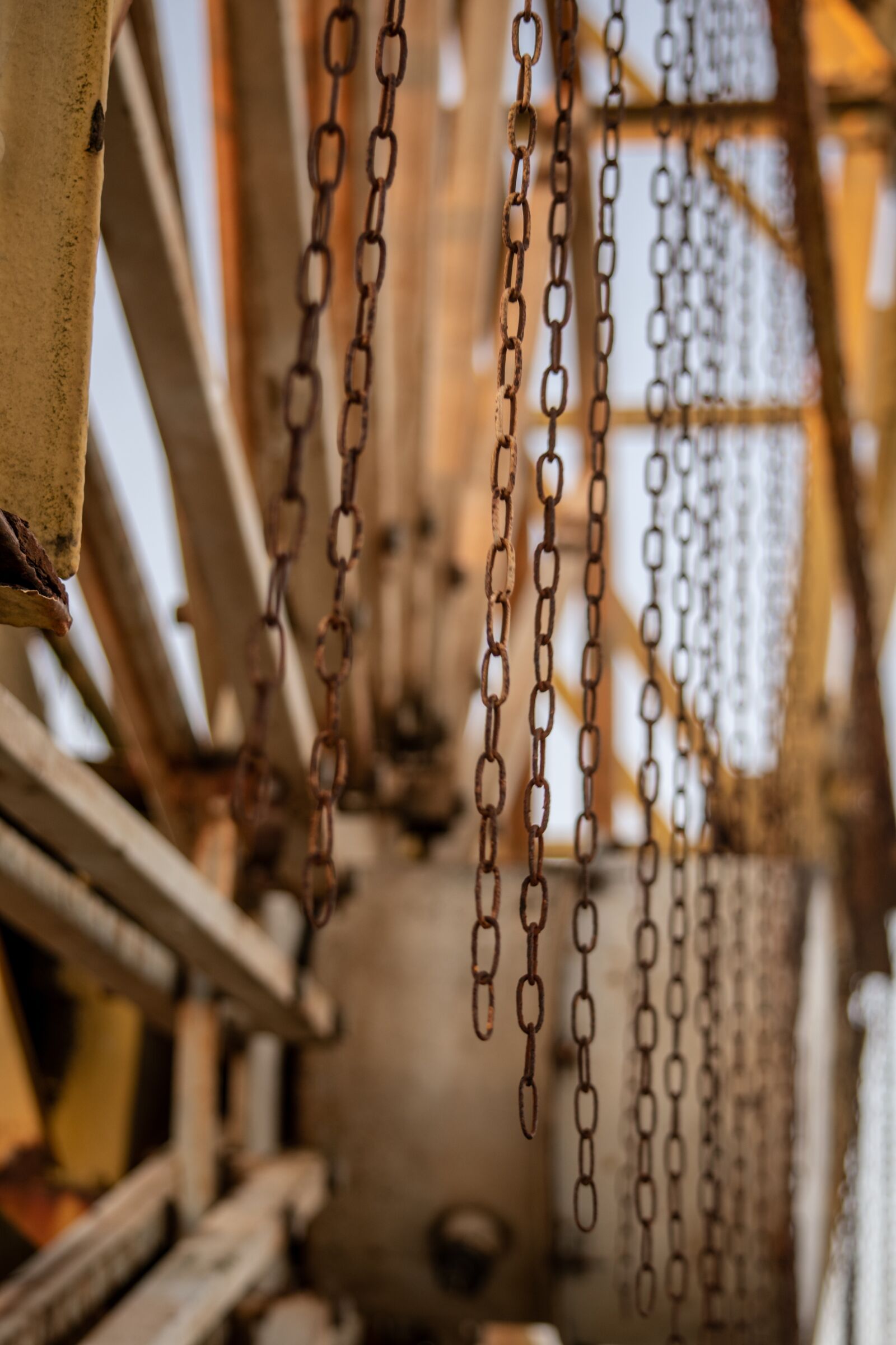 Nikon D7500 sample photo. Strings, abandoner, string photography