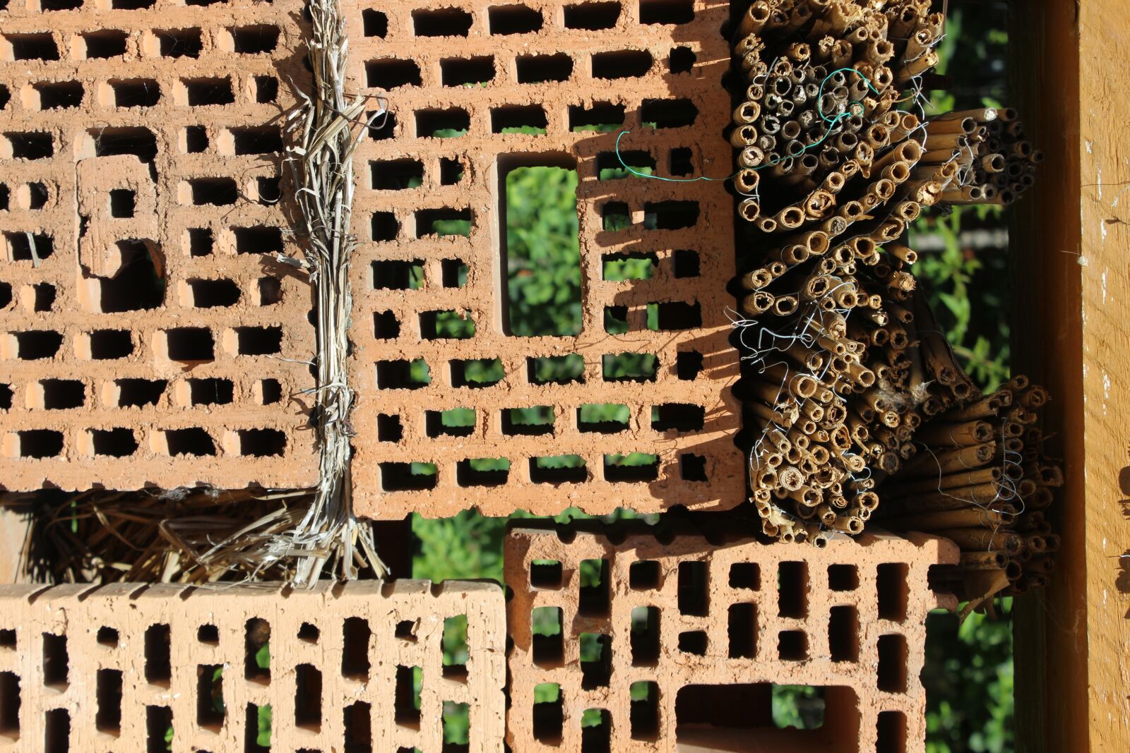 Canon EOS 600D (Rebel EOS T3i / EOS Kiss X5) sample photo. Insect hotel, wood, insect photography