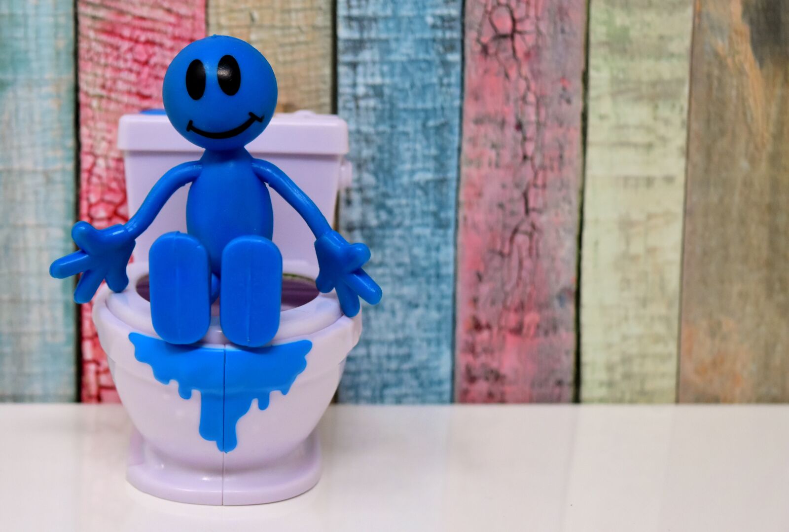 Nikon D7200 sample photo. Toilet, smiley, figure photography