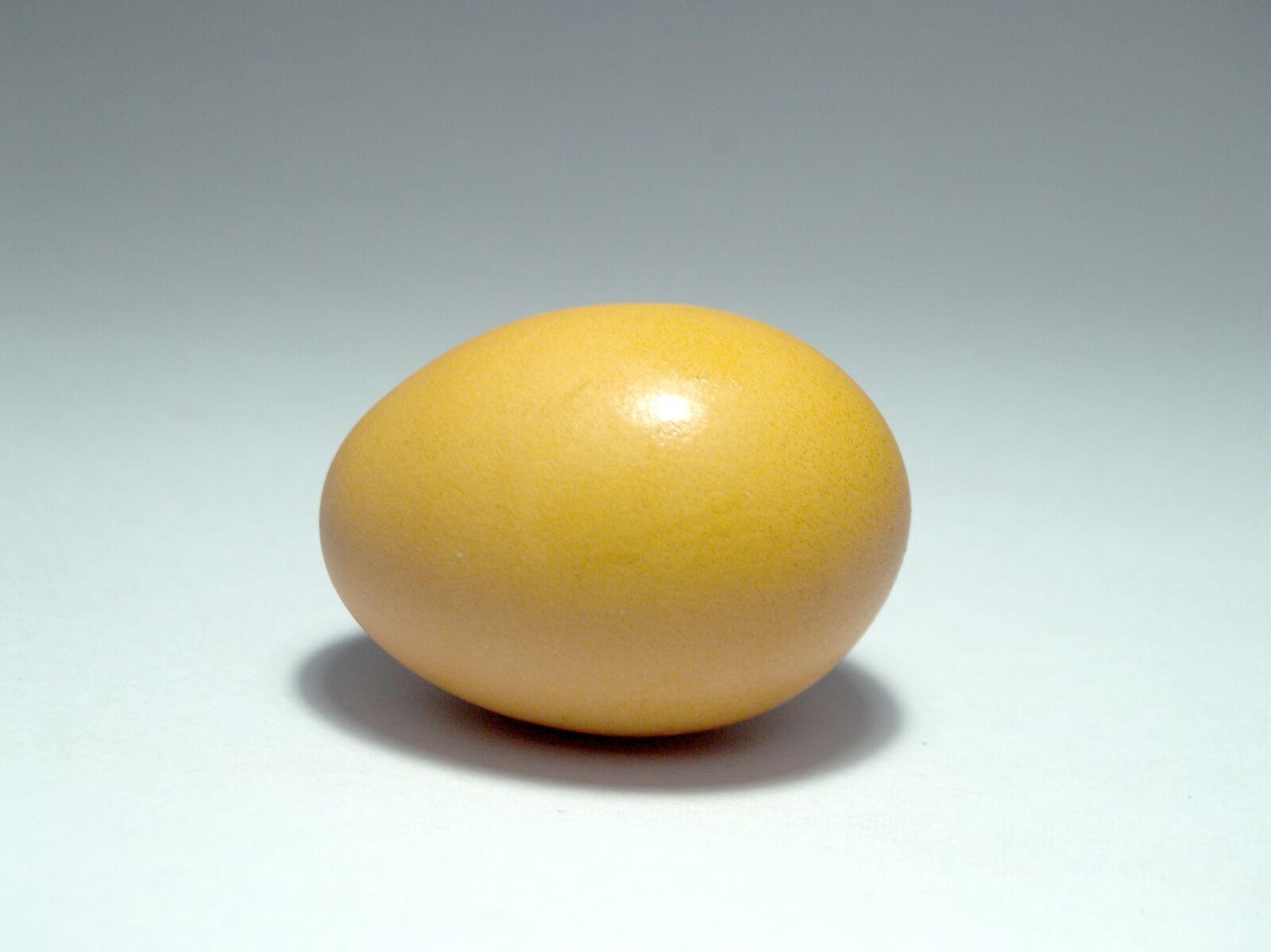 Olympus E-300 (EVOLT E-300) sample photo. Egg, pink, market photography