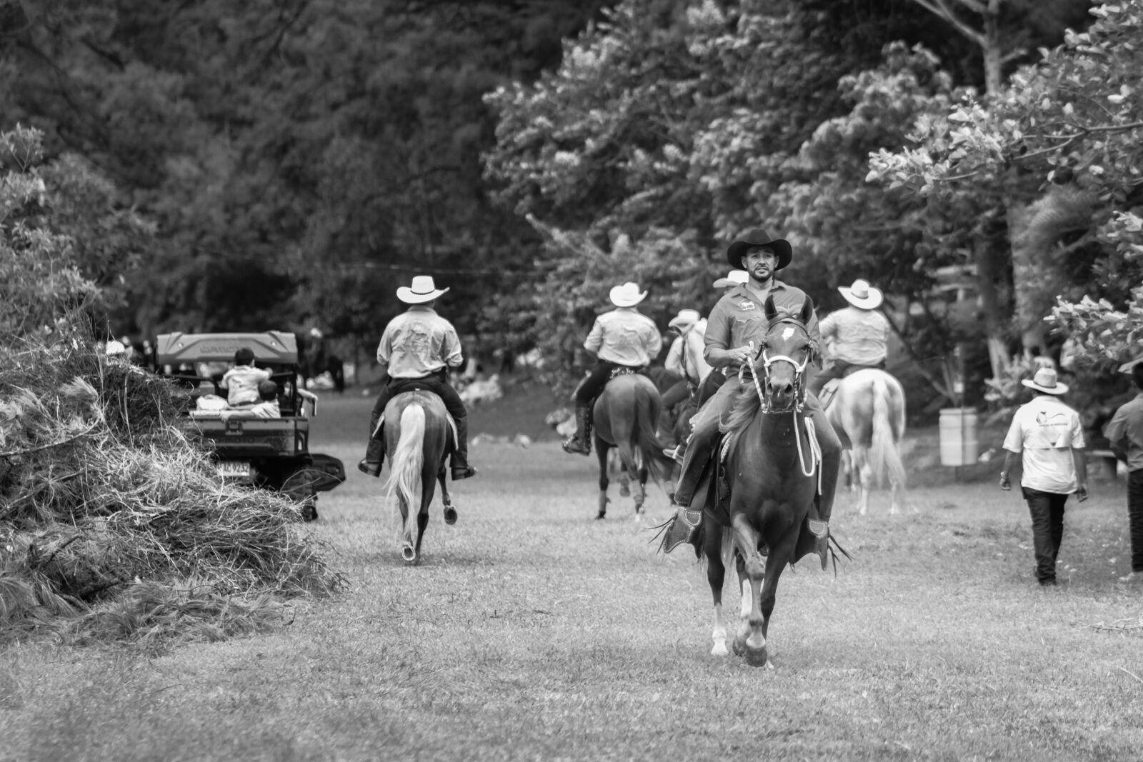 Canon YN85mm f/1.8 DCM sample photo. Ranch, horses, horse photography