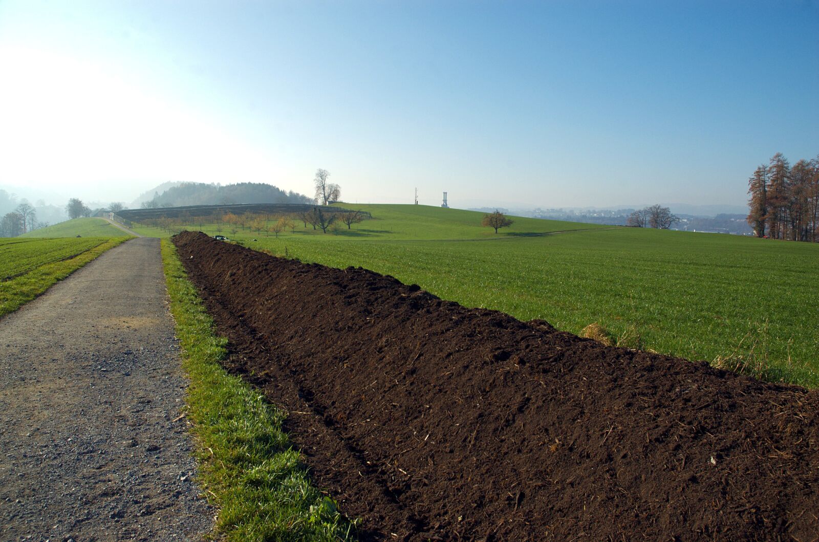 Nikon D70 sample photo. Compost, feldrand compost, composting photography