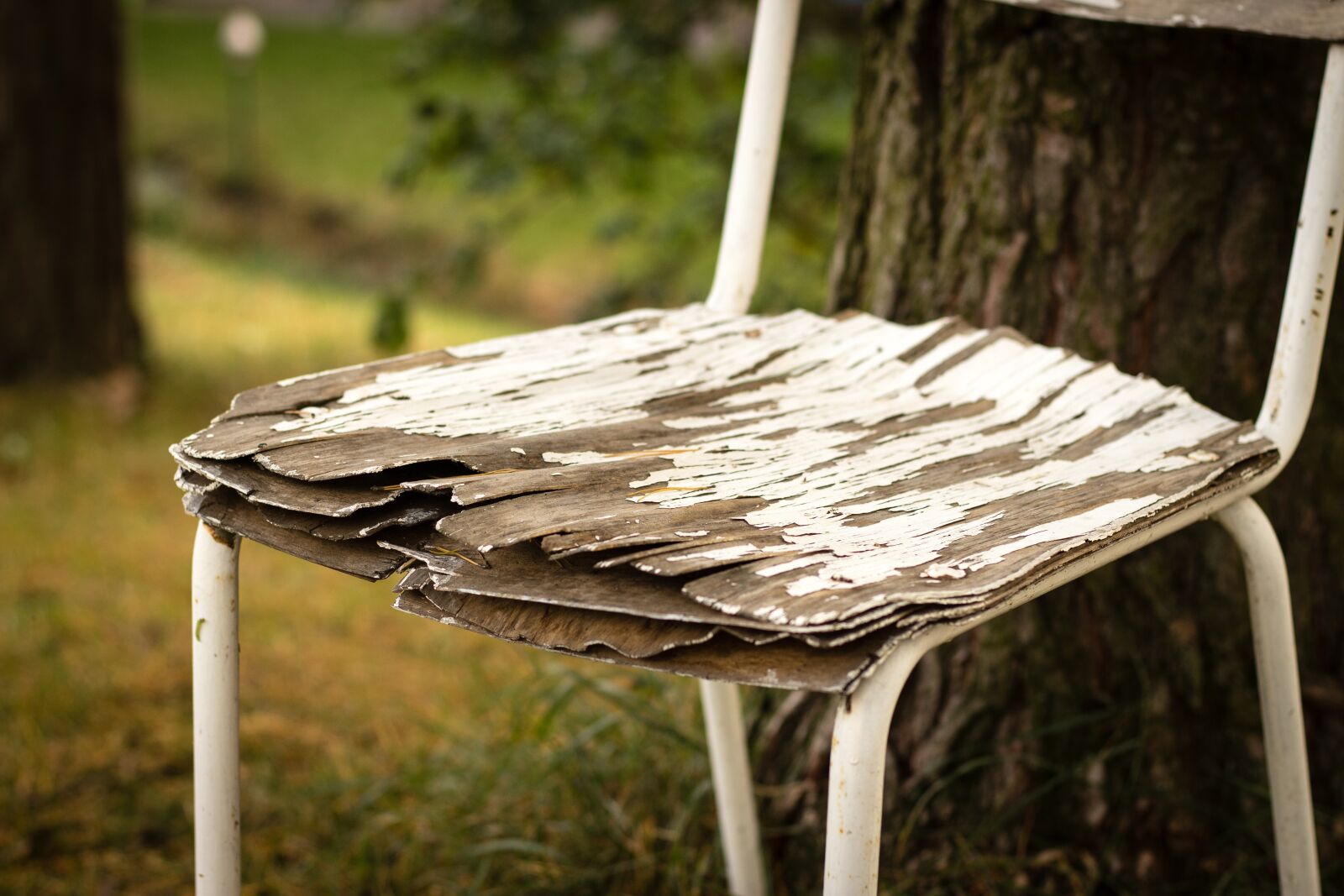 Canon EOS 700D (EOS Rebel T5i / EOS Kiss X7i) sample photo. Chair, session, sit photography