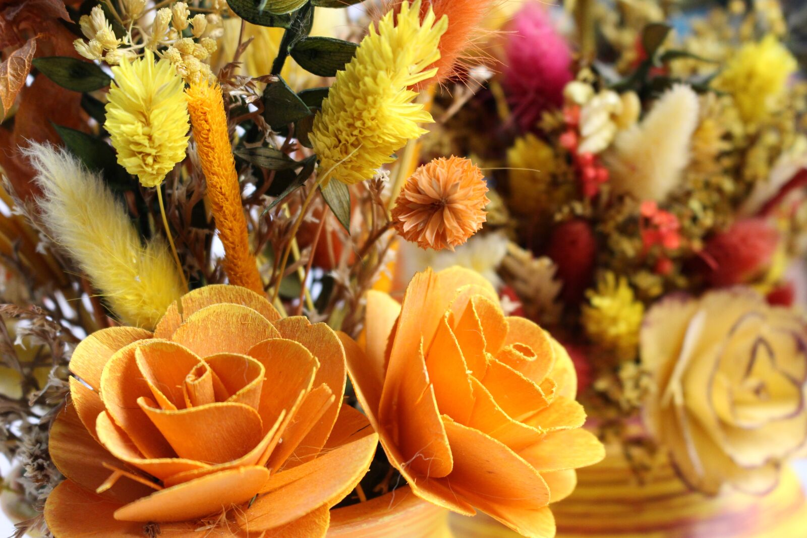 Canon EOS 100D (EOS Rebel SL1 / EOS Kiss X7) sample photo. Decoration, dried grasses, flowers photography