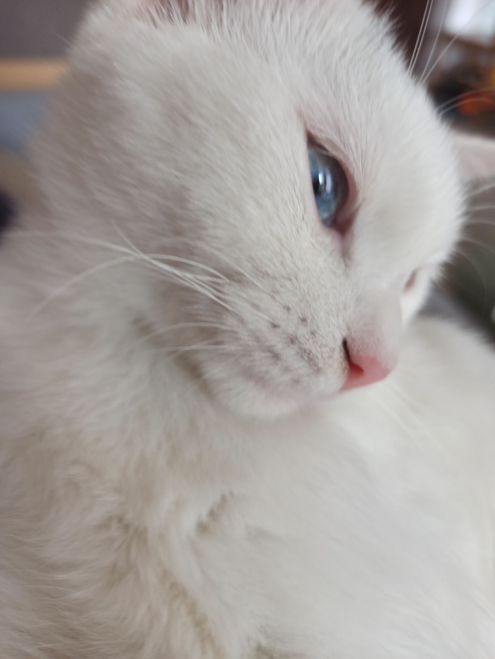 Xiaomi Redmi Note 8 Pro sample photo